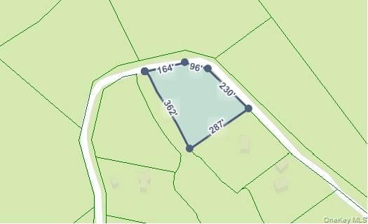 321 Antler Lake Road, Call Listing Agent, NY 12886