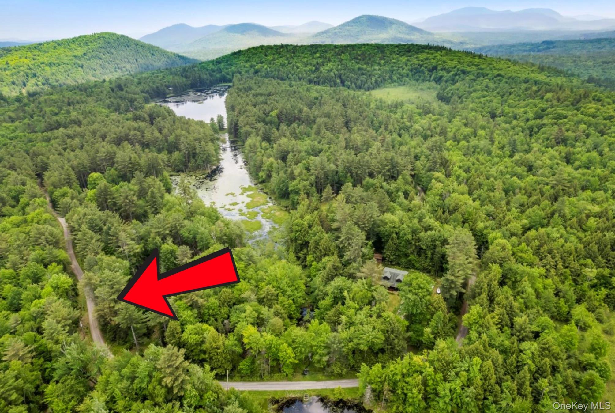 321 Antler Lake Road, Call Listing Agent, NY 12886