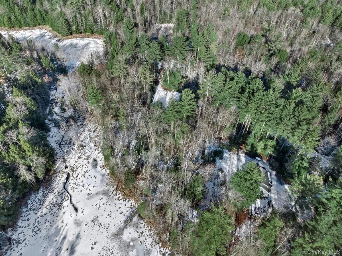 321 Antler Lake Road, Call Listing Agent, NY 12886