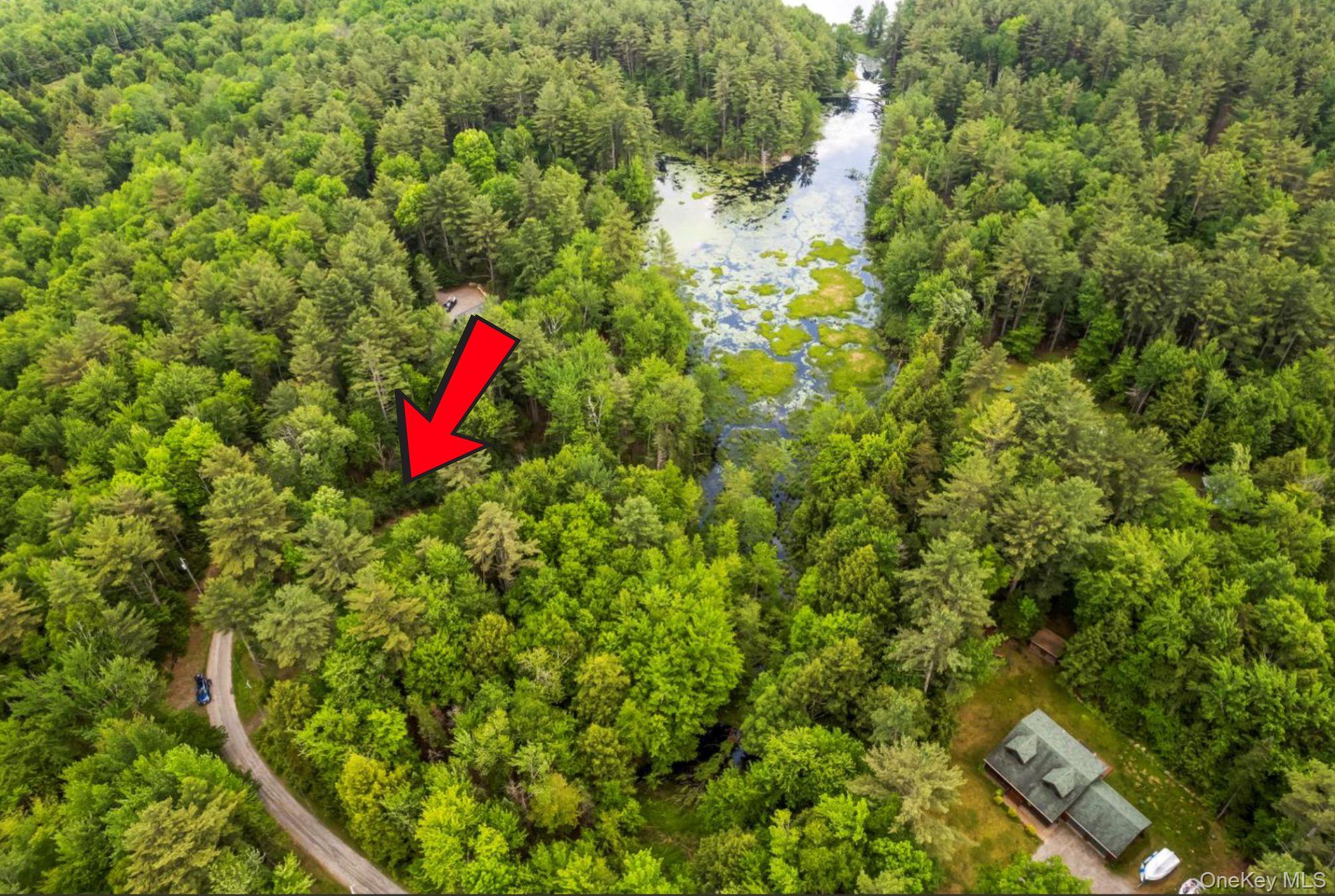 321 Antler Lake Road, Call Listing Agent, NY 12886