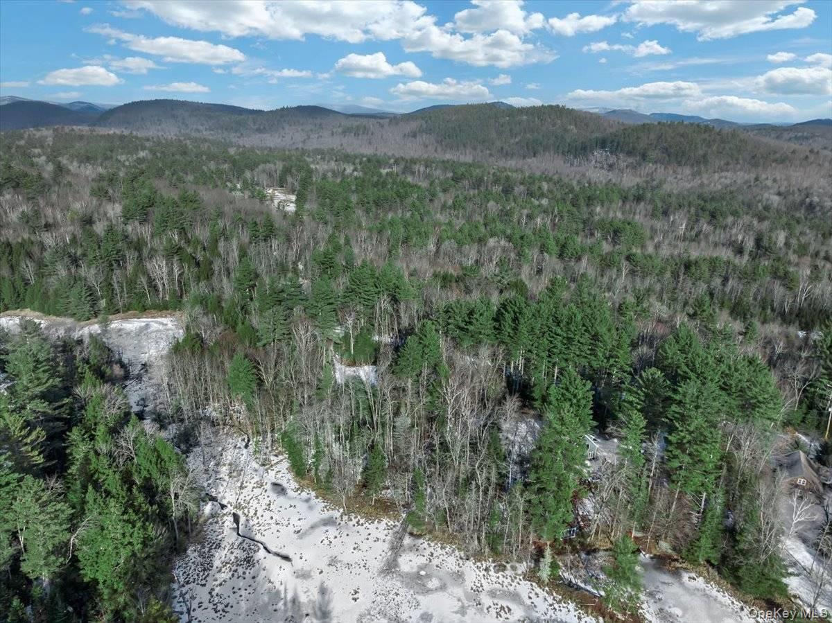 321 Antler Lake Road, Call Listing Agent, NY 12886