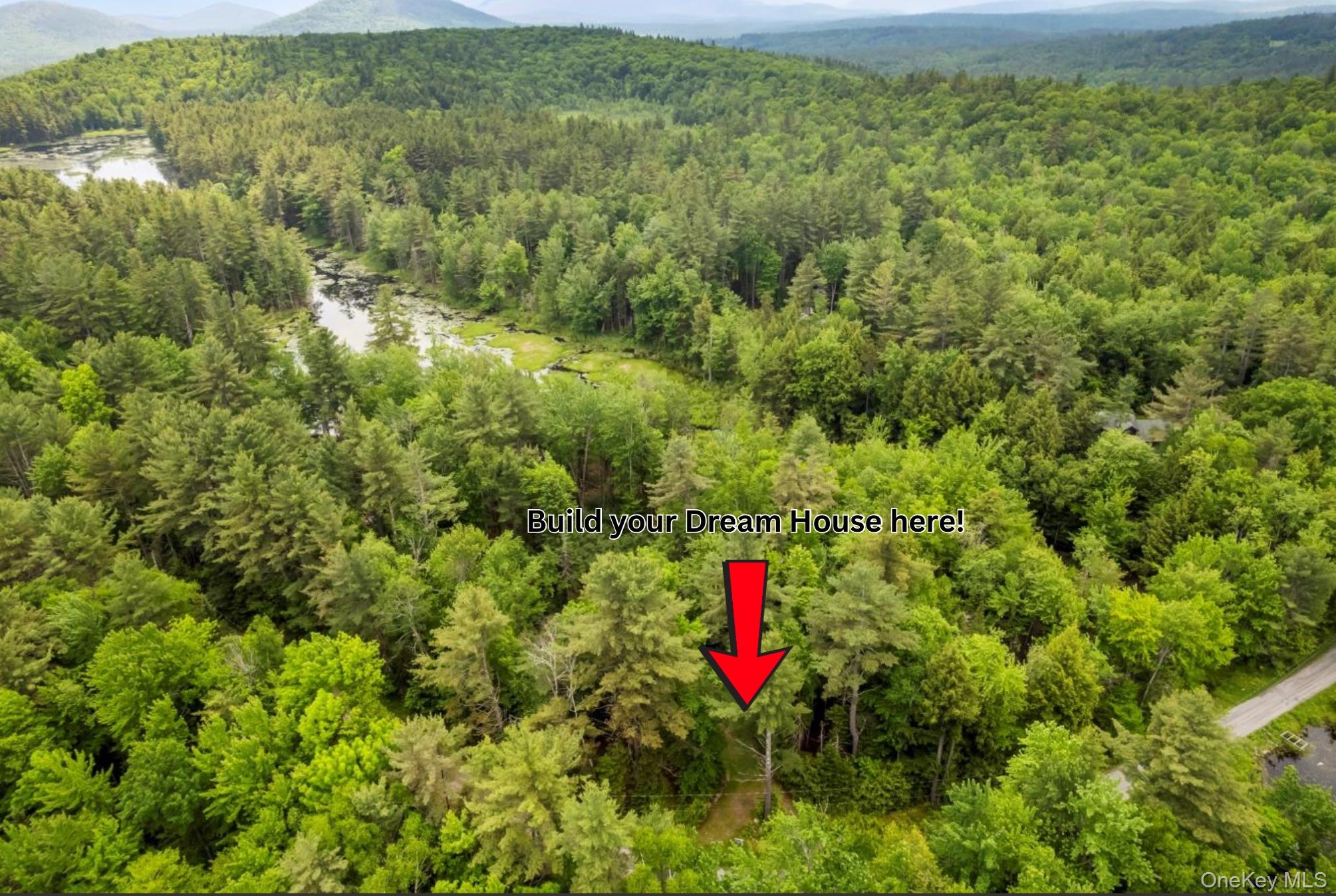 321 Antler Lake Road, Call Listing Agent, NY 12886