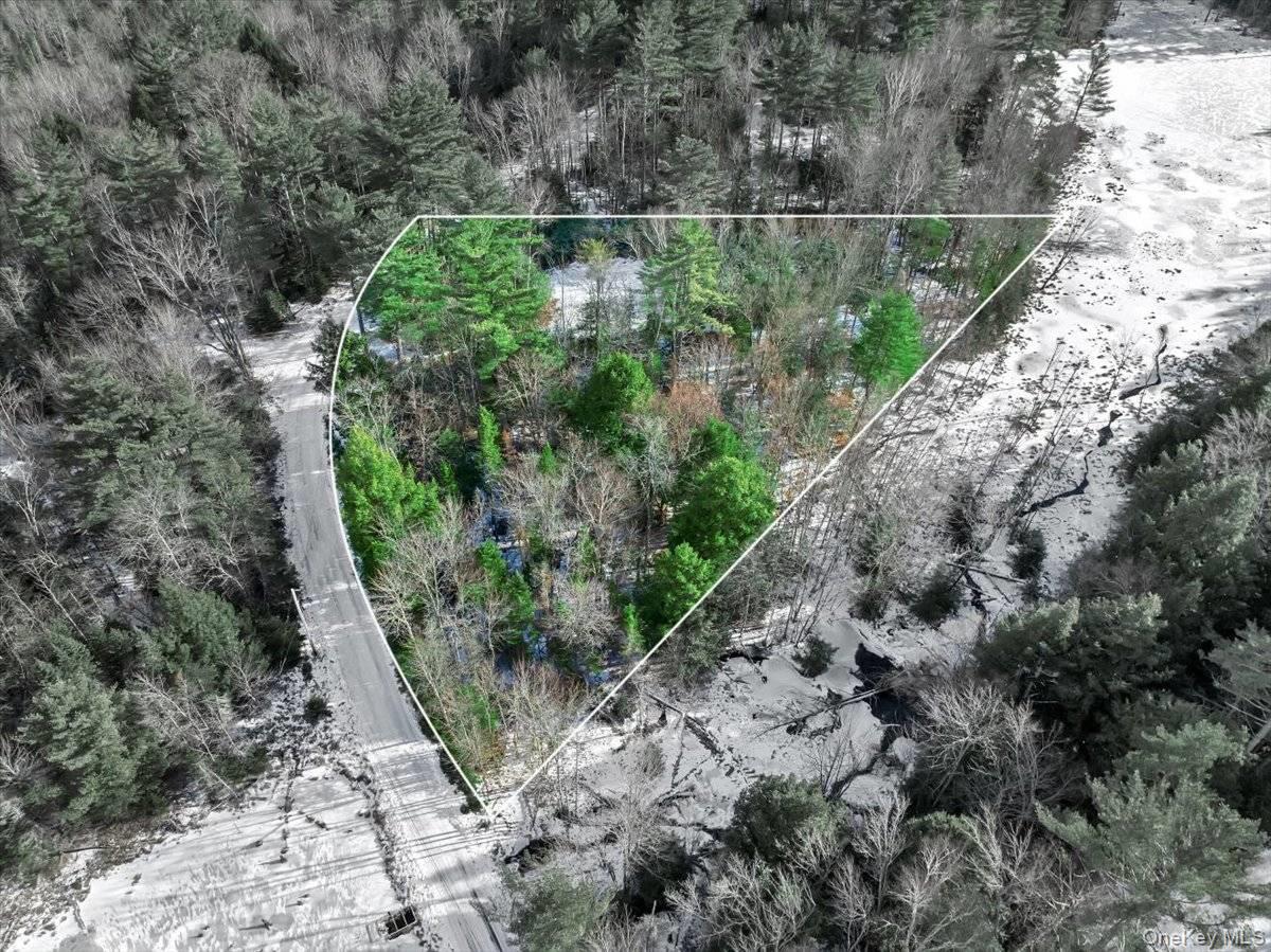 321 Antler Lake Road, Call Listing Agent, NY 12886