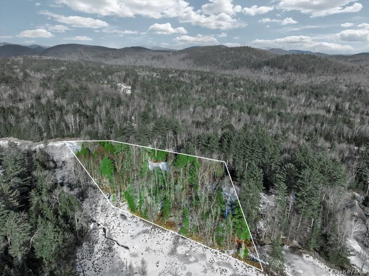 321 Antler Lake Road, Call Listing Agent, NY 12886