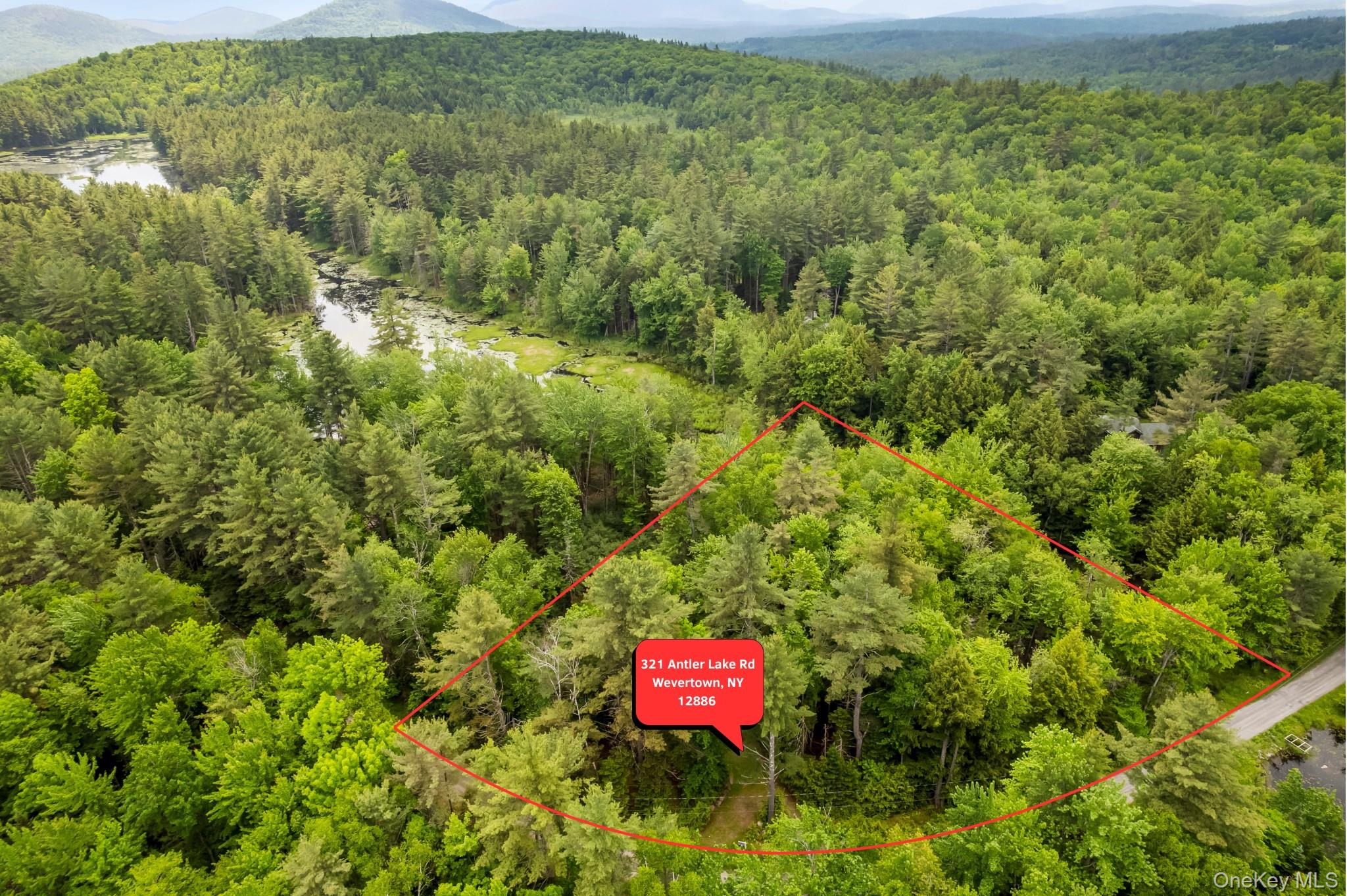 321 Antler Lake Road, Call Listing Agent, NY 12886