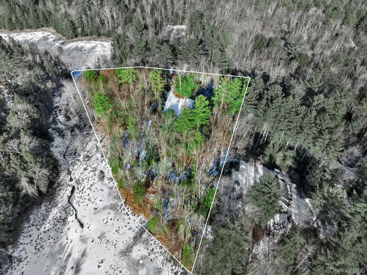 321 Antler Lake Road, Call Listing Agent, NY 12886