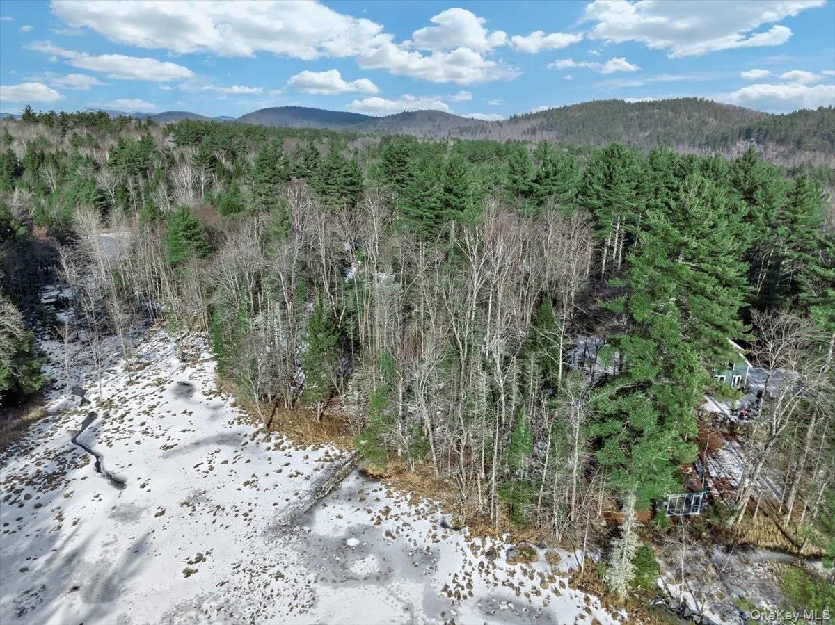 321 Antler Lake Road, Call Listing Agent, NY 12886