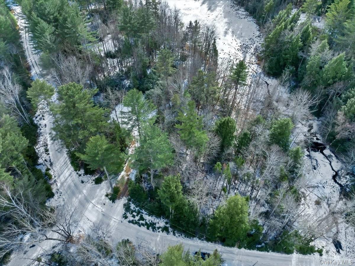 321 Antler Lake Road, Call Listing Agent, NY 12886