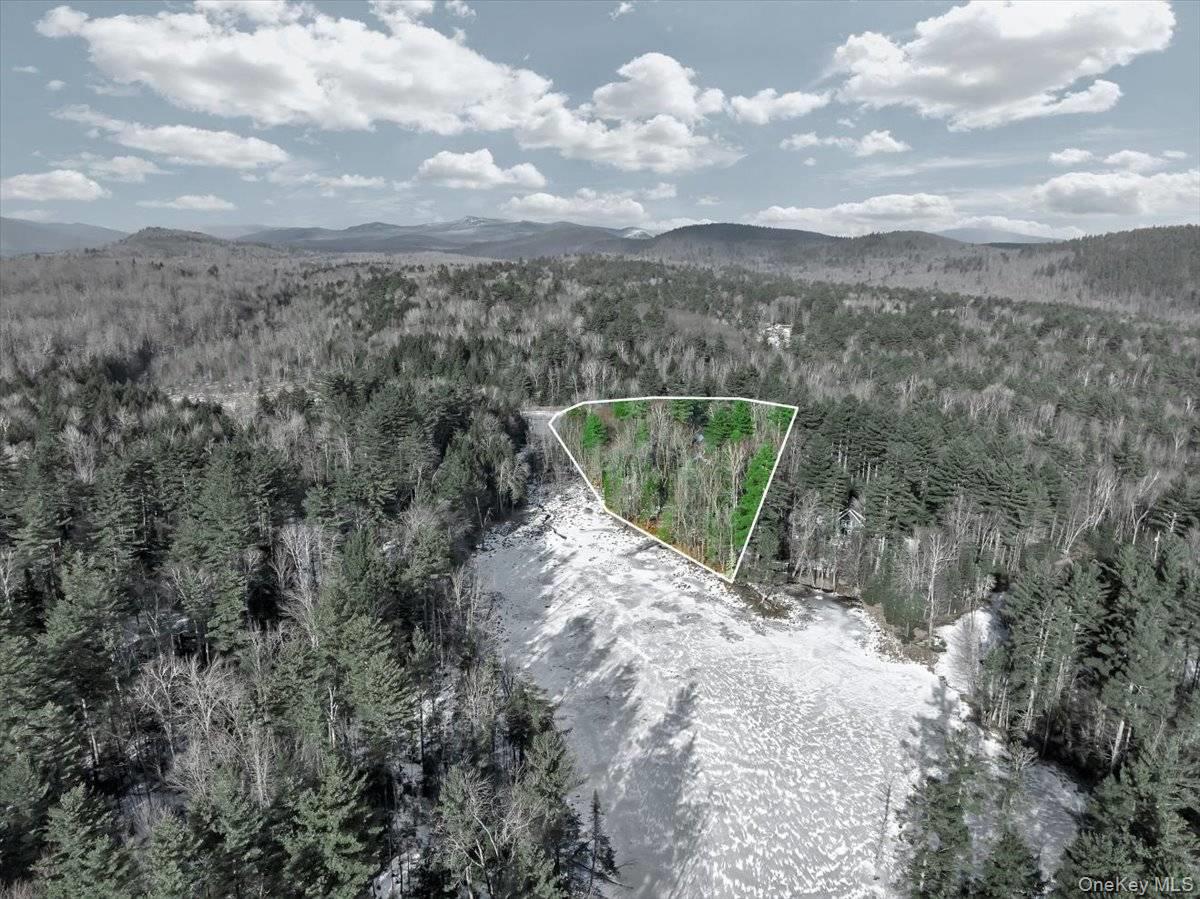 321 Antler Lake Road, Call Listing Agent, NY 12886