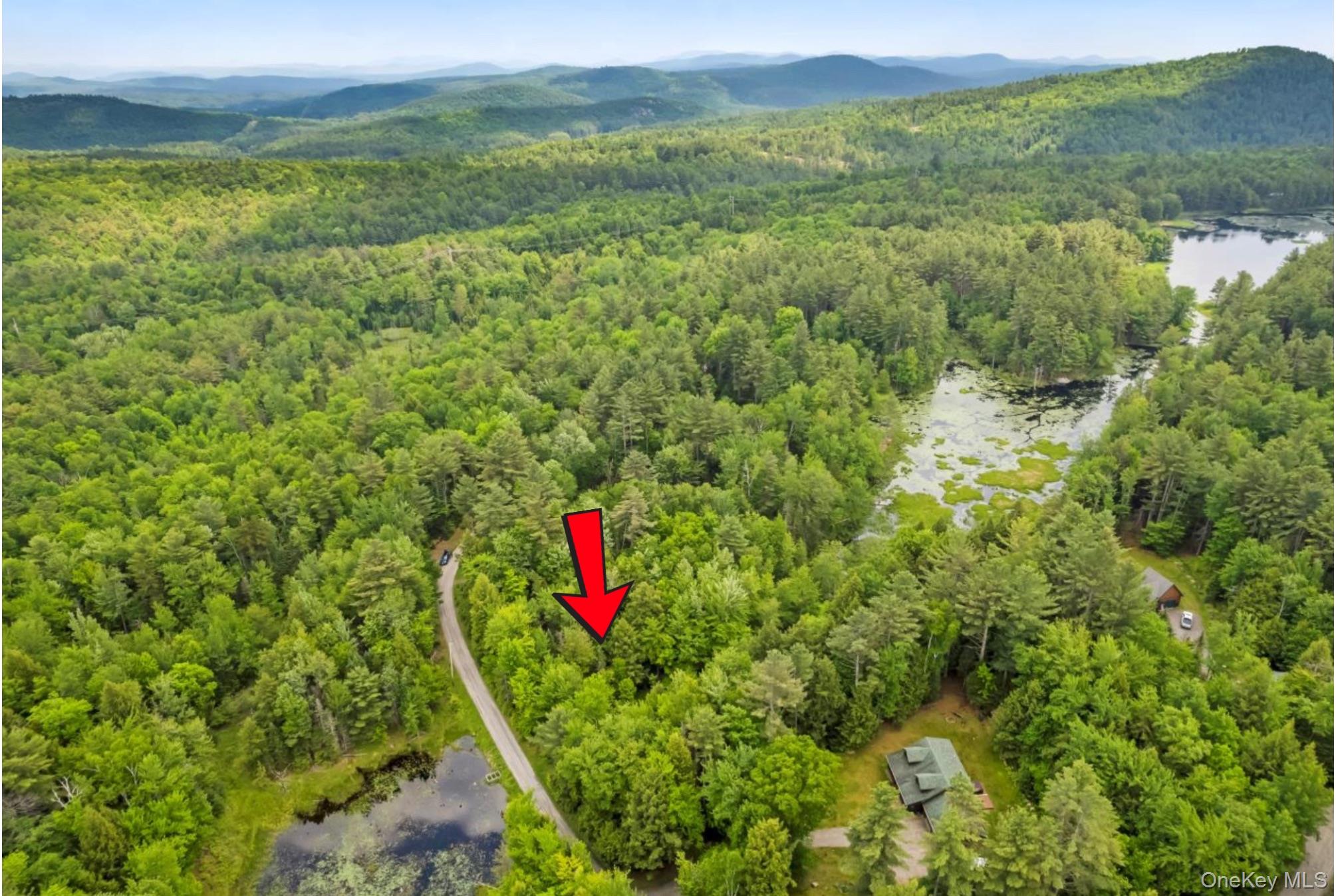 321 Antler Lake Road, Call Listing Agent, NY 12886