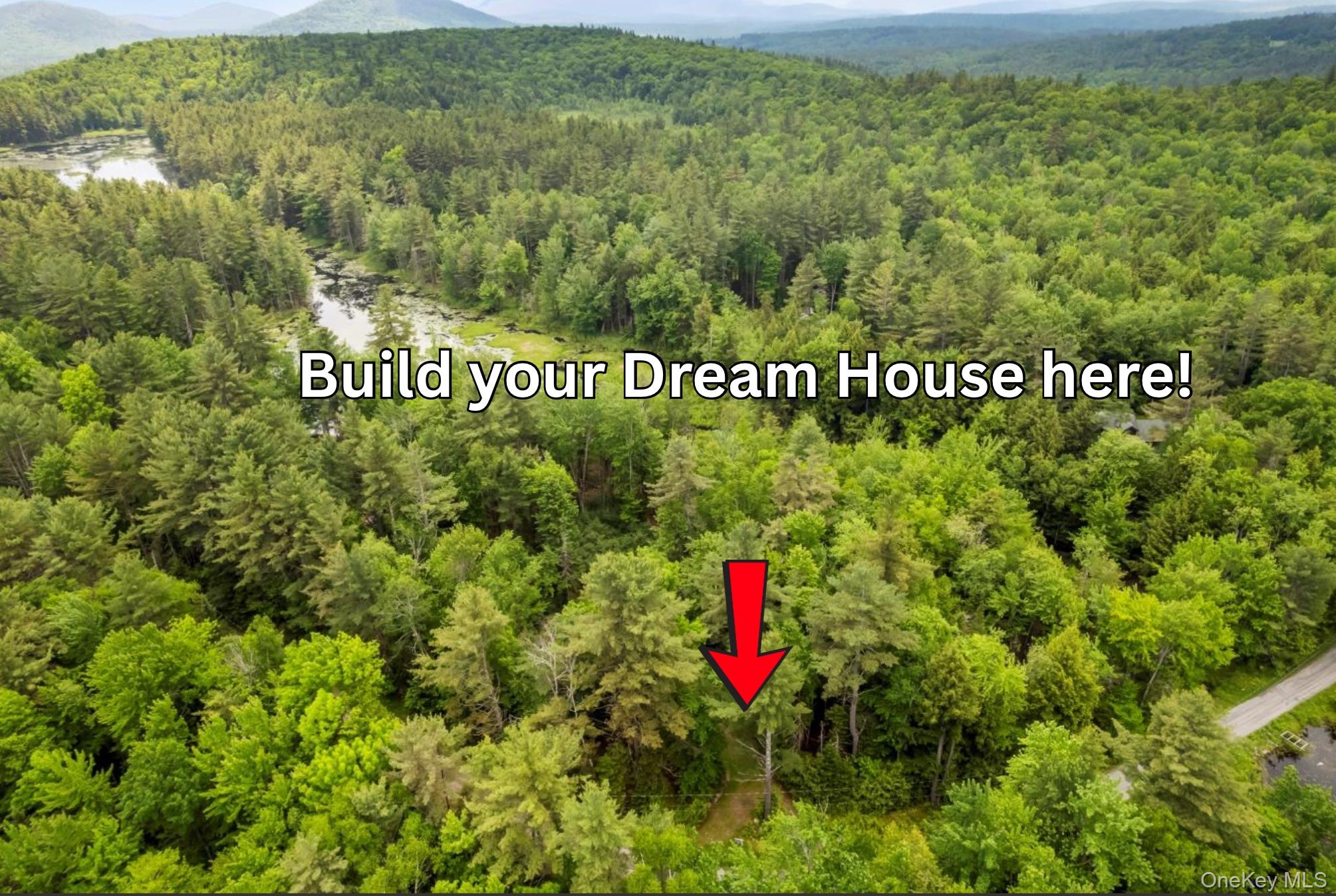 321 Antler Lake Road, Call Listing Agent, NY 12886