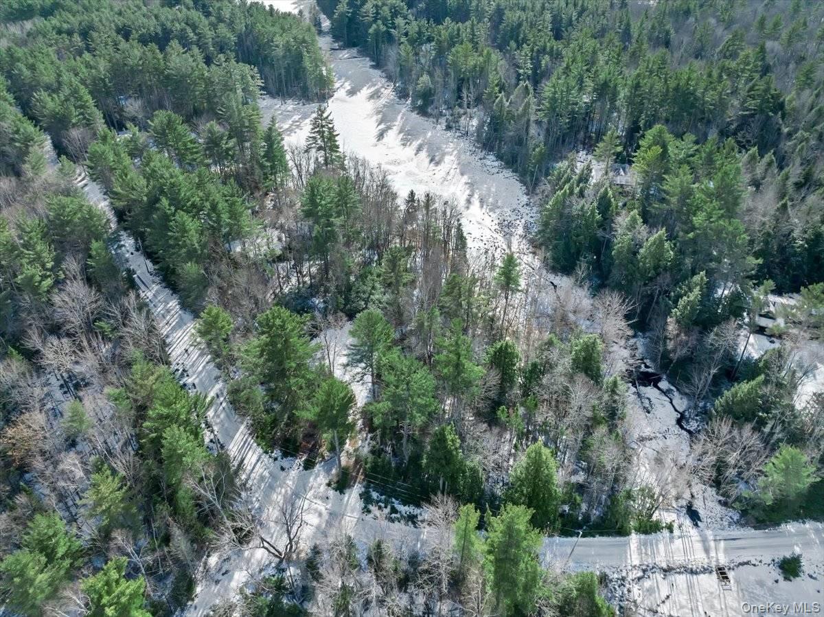 321 Antler Lake Road, Call Listing Agent, NY 12886