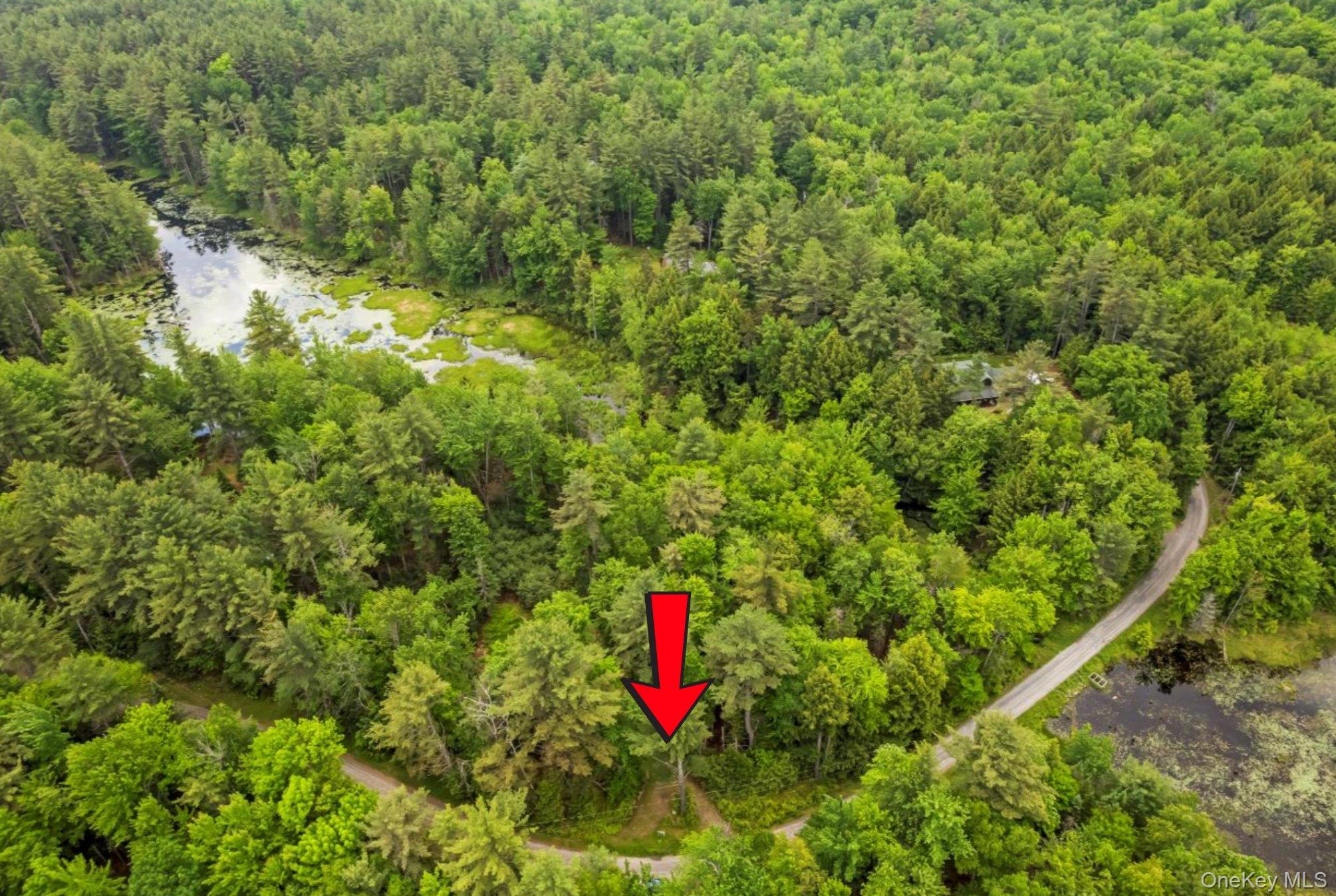 321 Antler Lake Road, Call Listing Agent, NY 12886