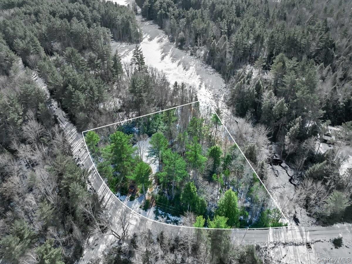 321 Antler Lake Road, Call Listing Agent, NY 12886