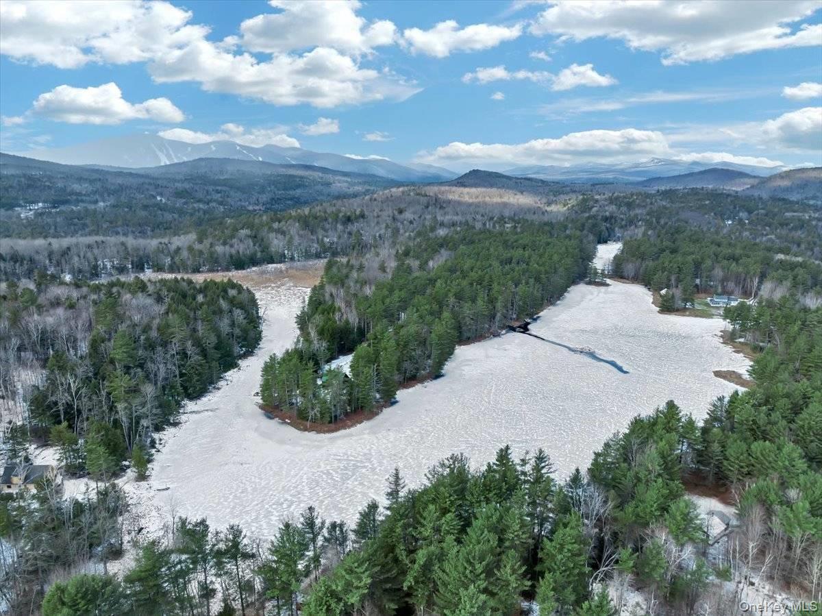 321 Antler Lake Road, Call Listing Agent, NY 12886