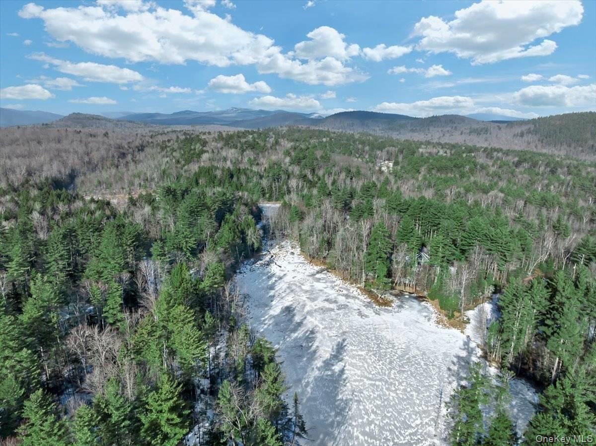 321 Antler Lake Road, Call Listing Agent, NY 12886