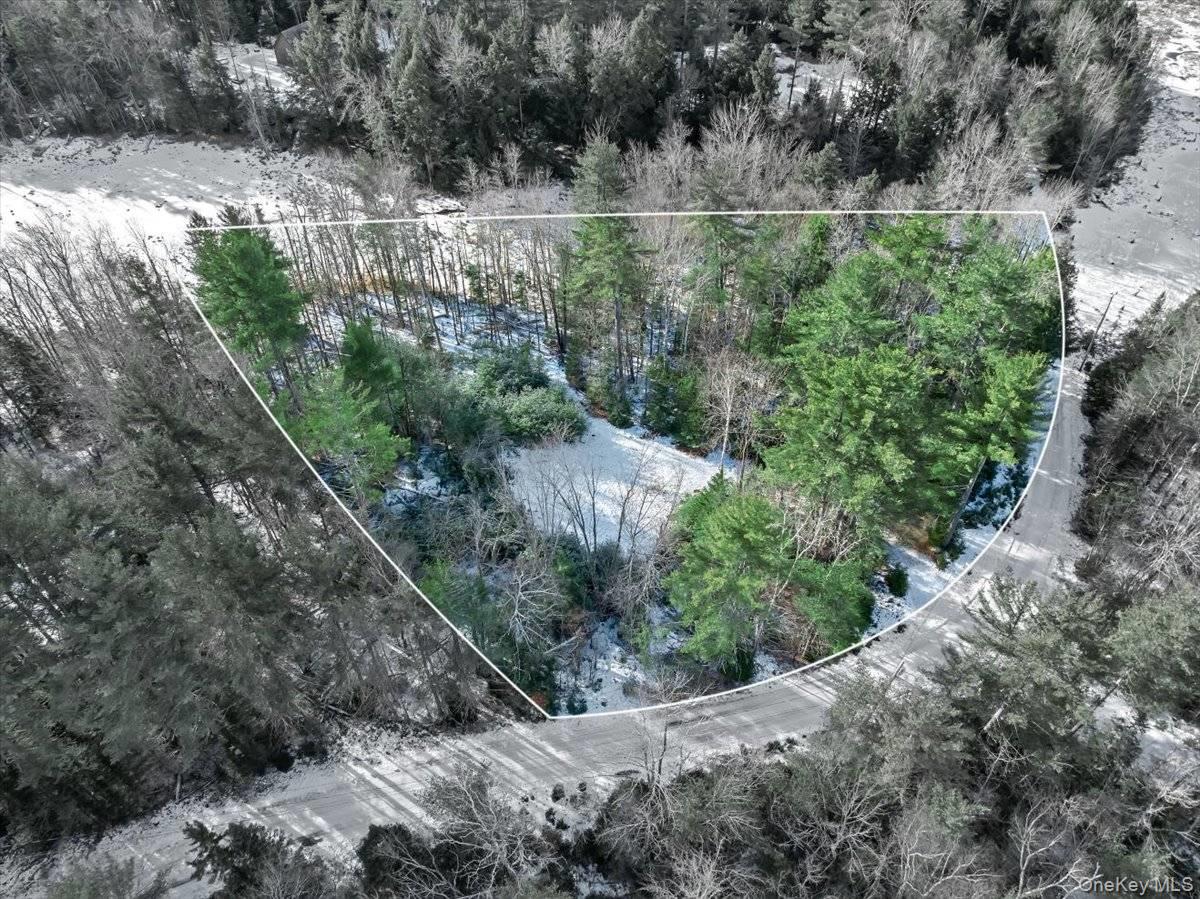 321 Antler Lake Road, Call Listing Agent, NY 12886