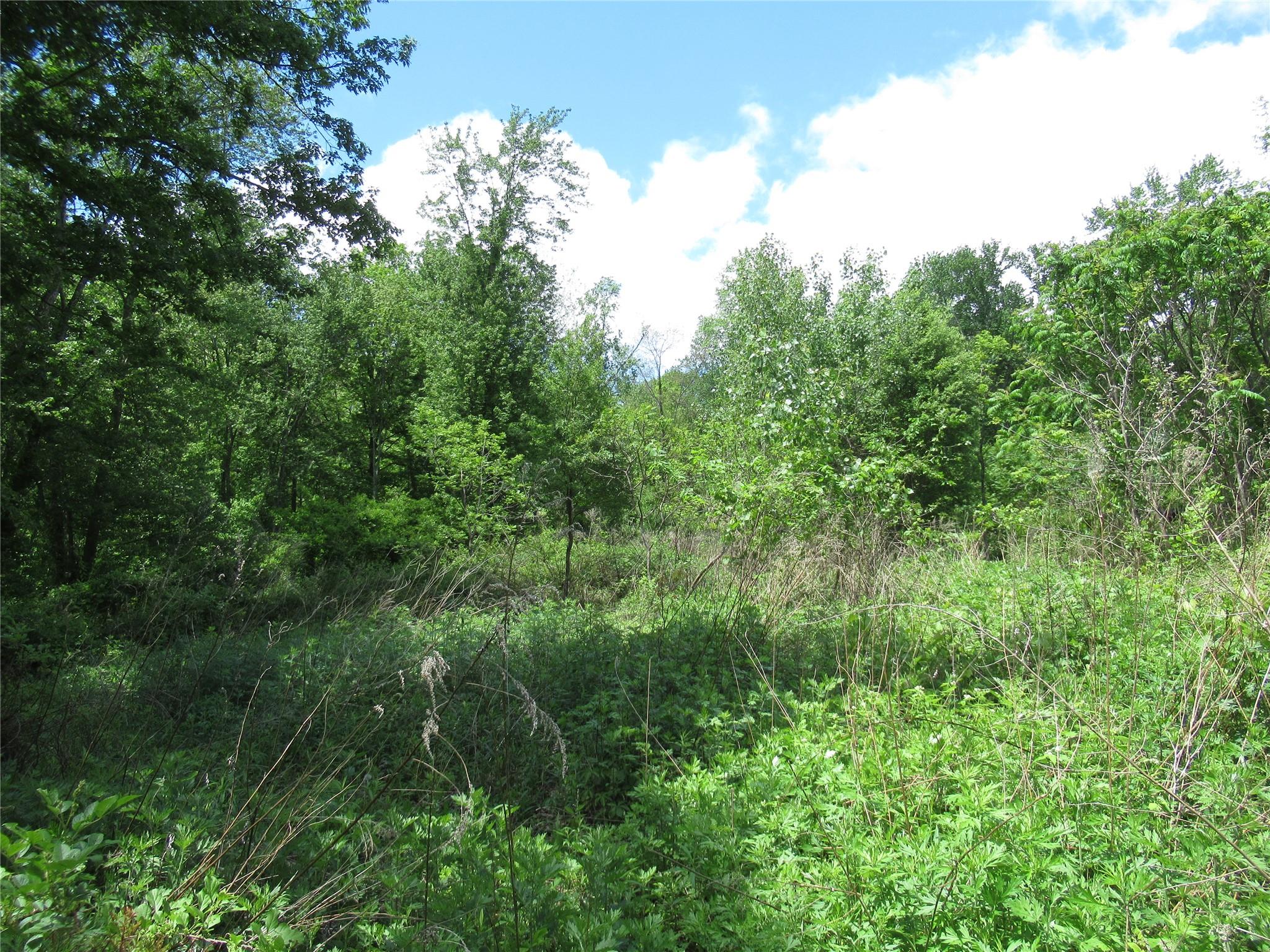 Overlook Drive, Pawling, NY 12564
