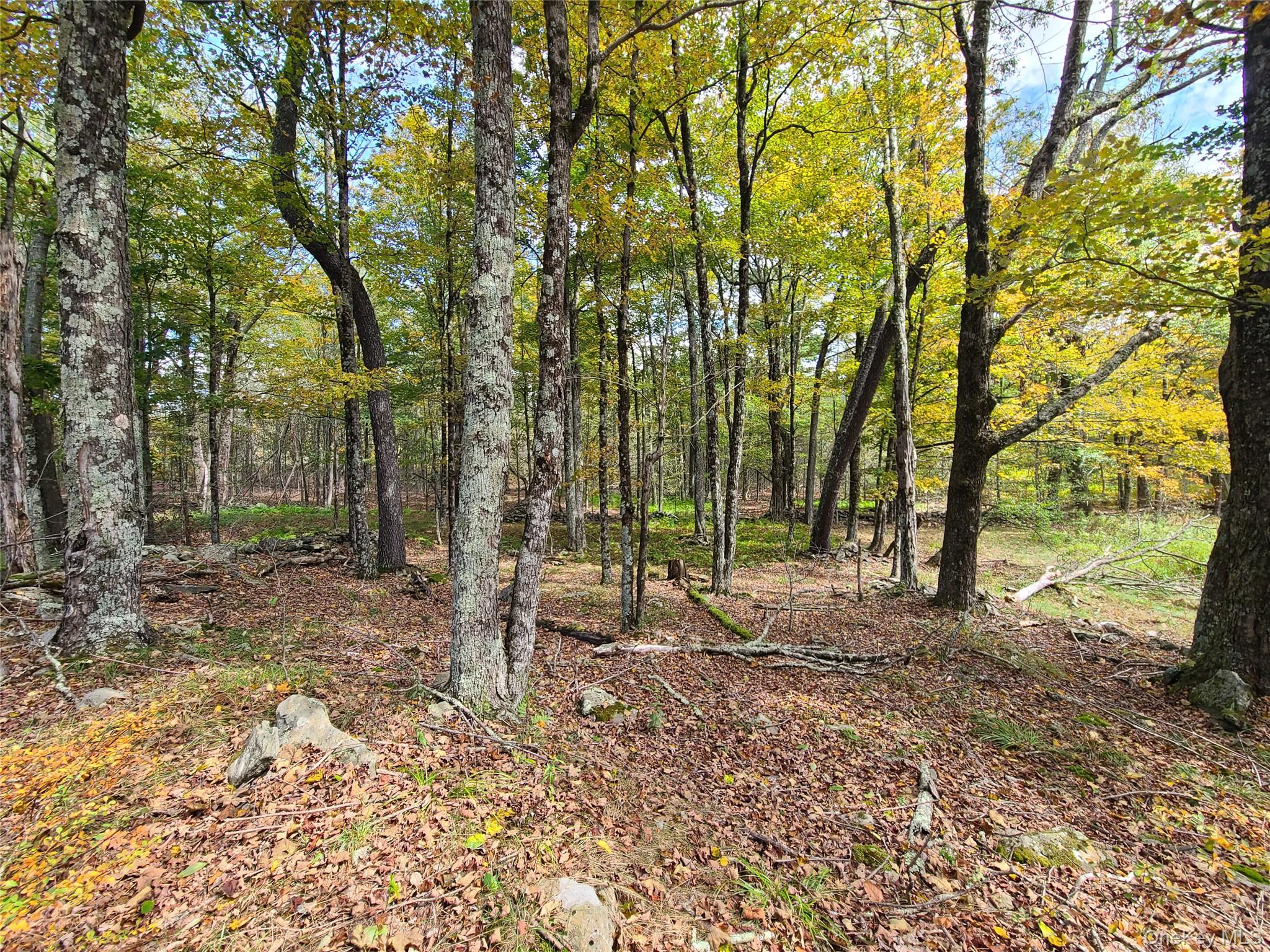 118 Hilltop Road, Monticello, NY 12701