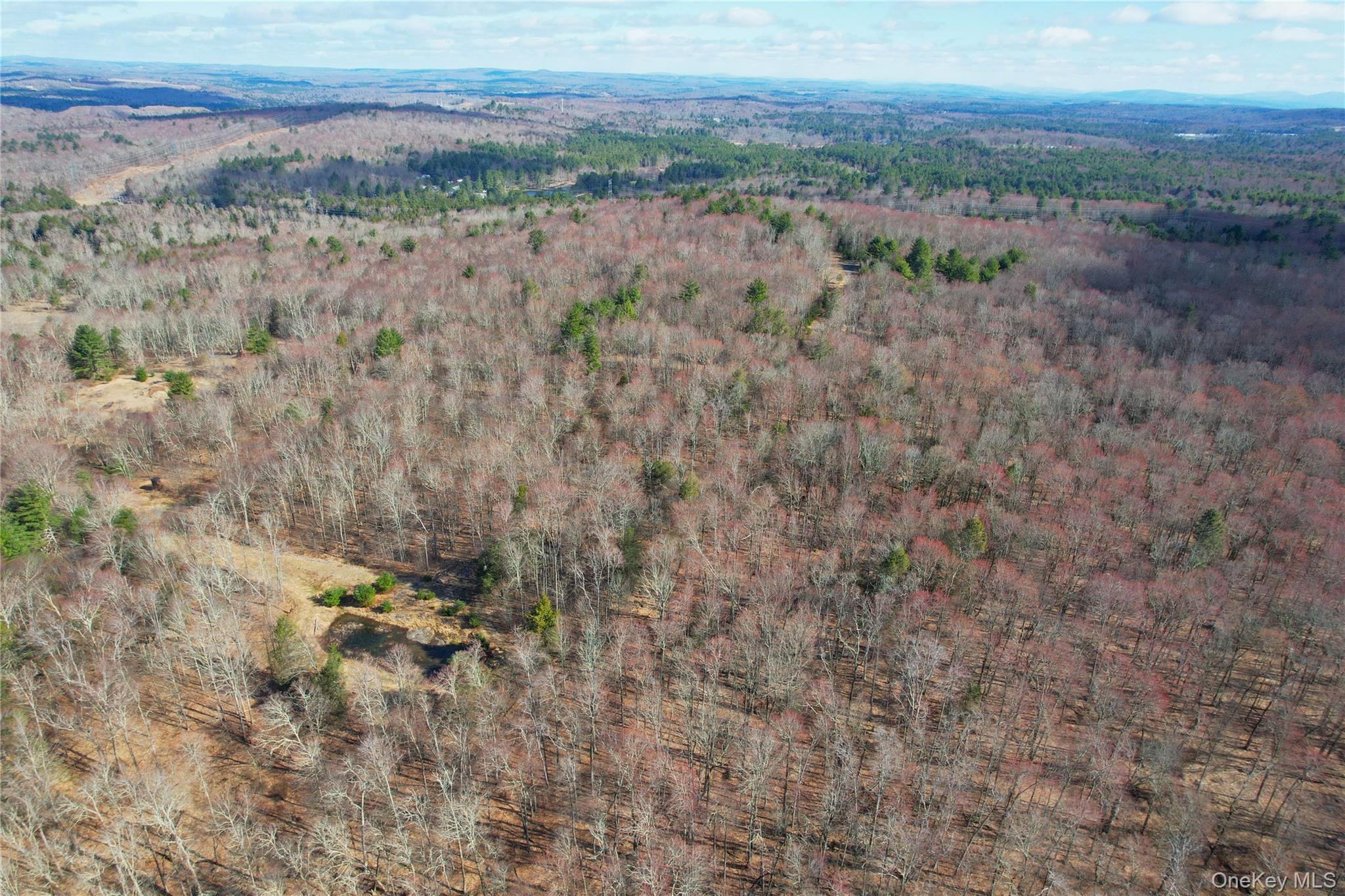 118 Hilltop Road, Monticello, NY 12701