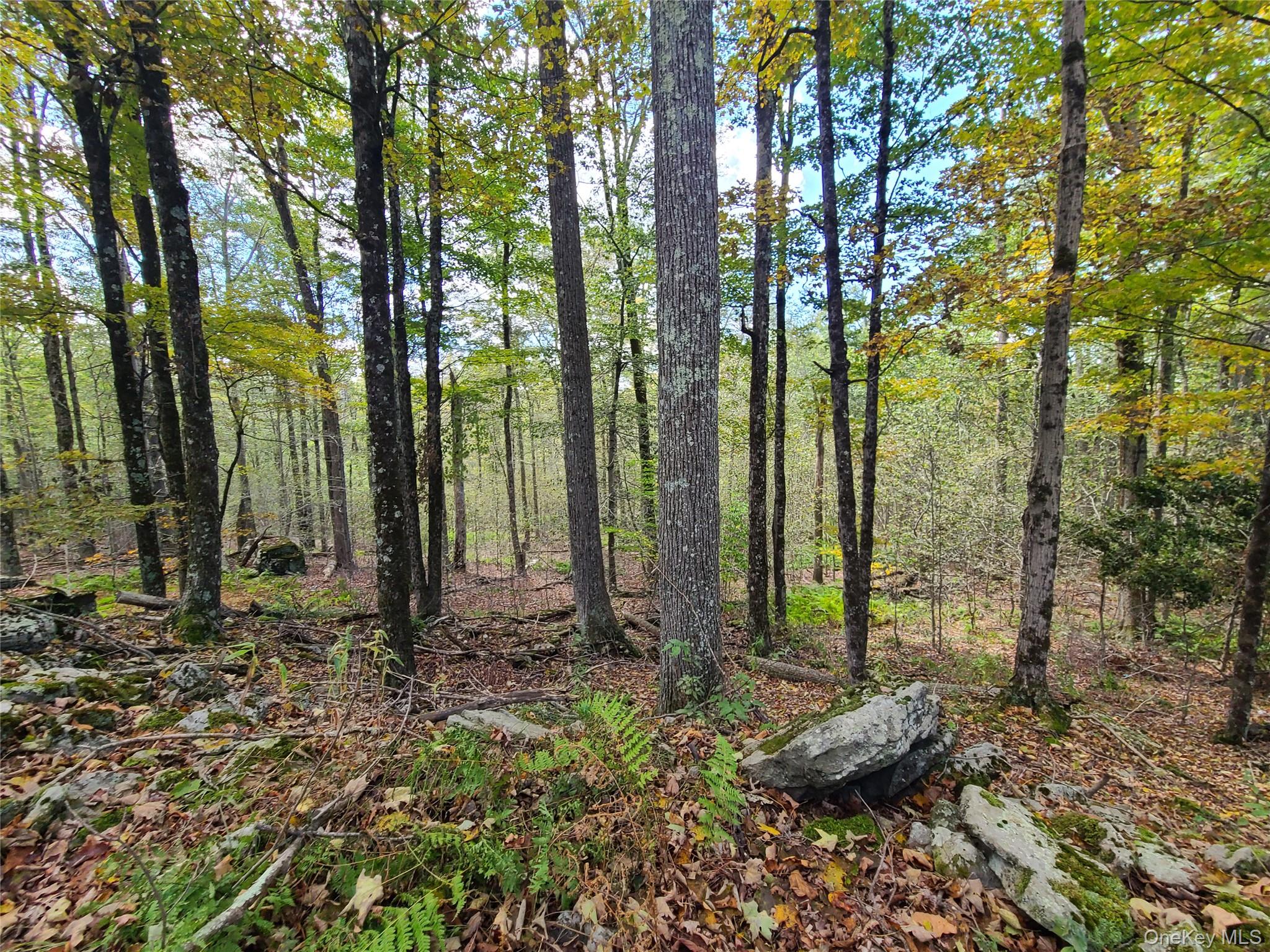 118 Hilltop Road, Monticello, NY 12701