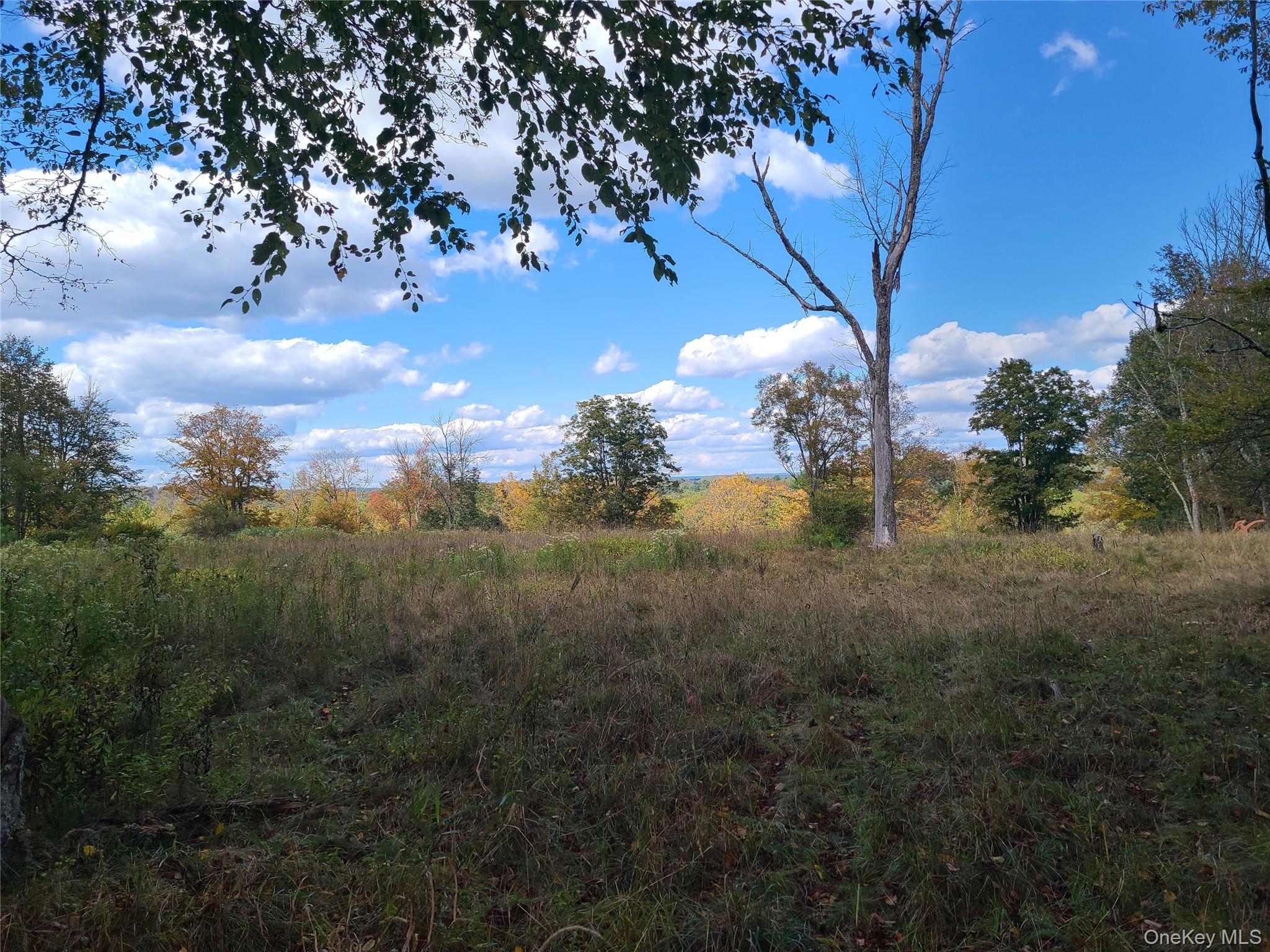 118 Hilltop Road, Monticello, NY 12701