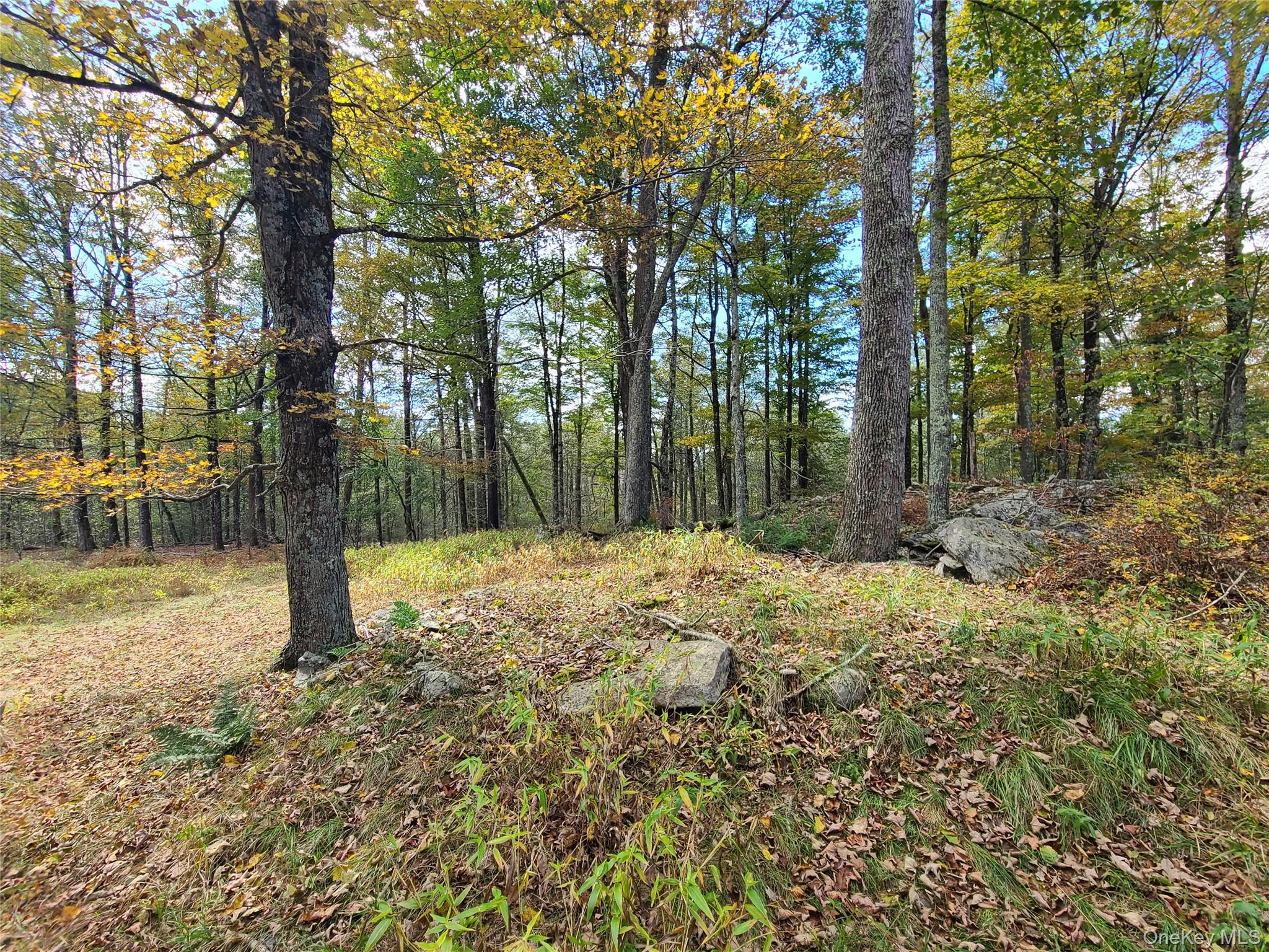 118 Hilltop Road, Monticello, NY 12701