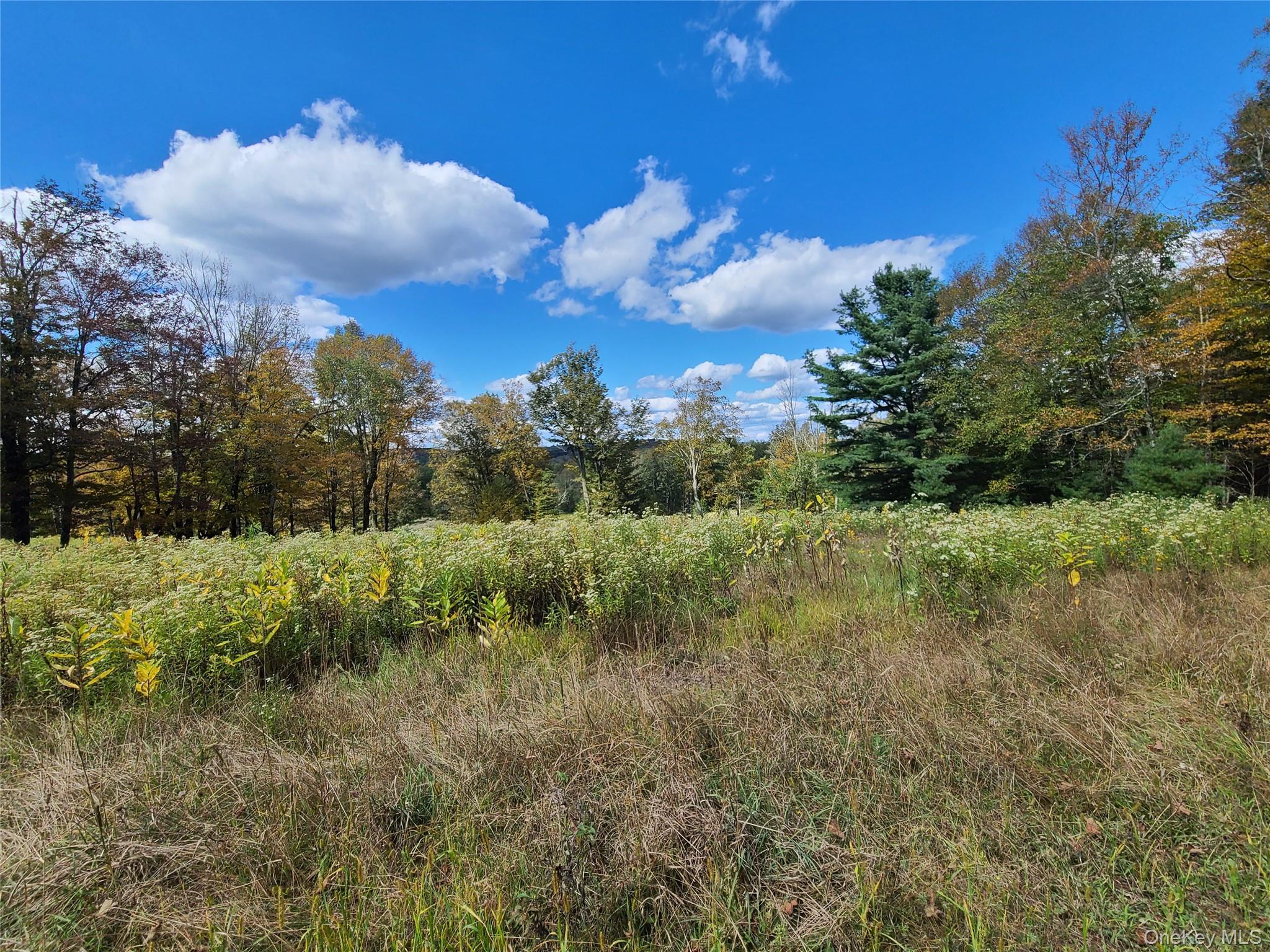 118 Hilltop Road, Monticello, NY 12701