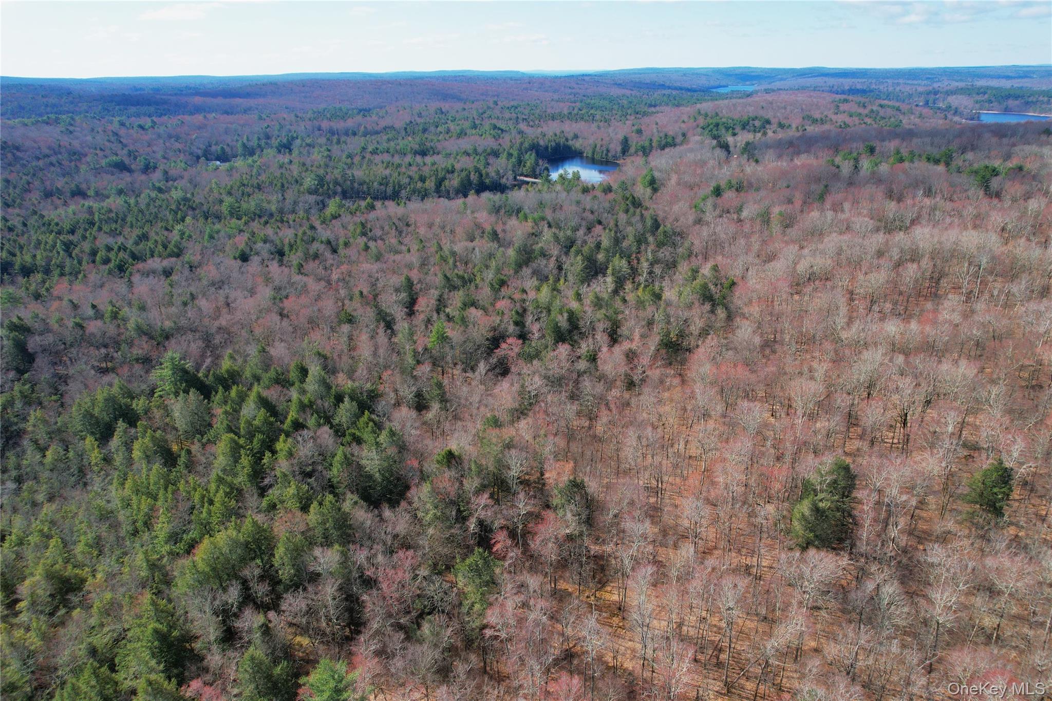 118 Hilltop Road, Monticello, NY 12701