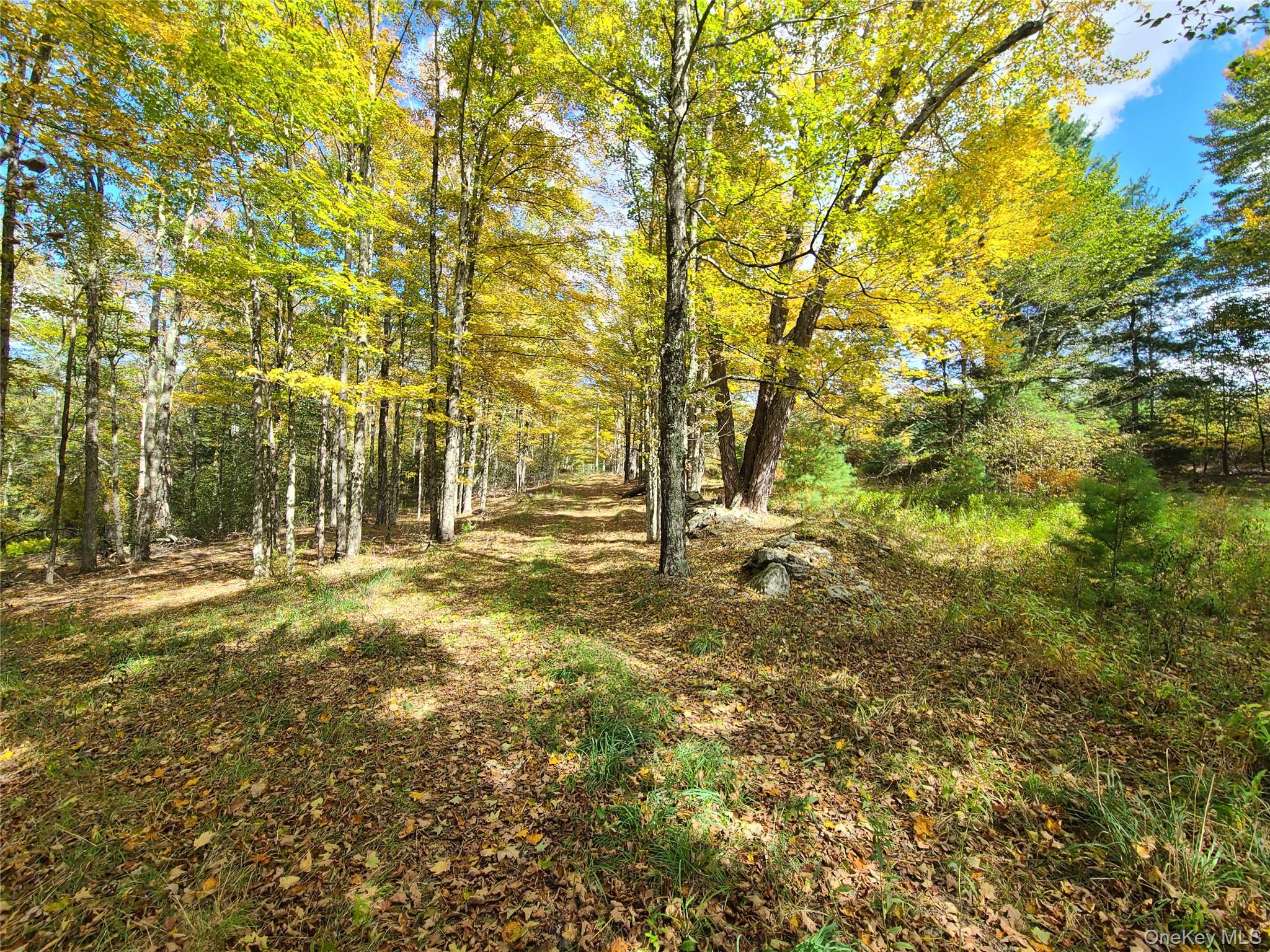 118 Hilltop Road, Monticello, NY 12701