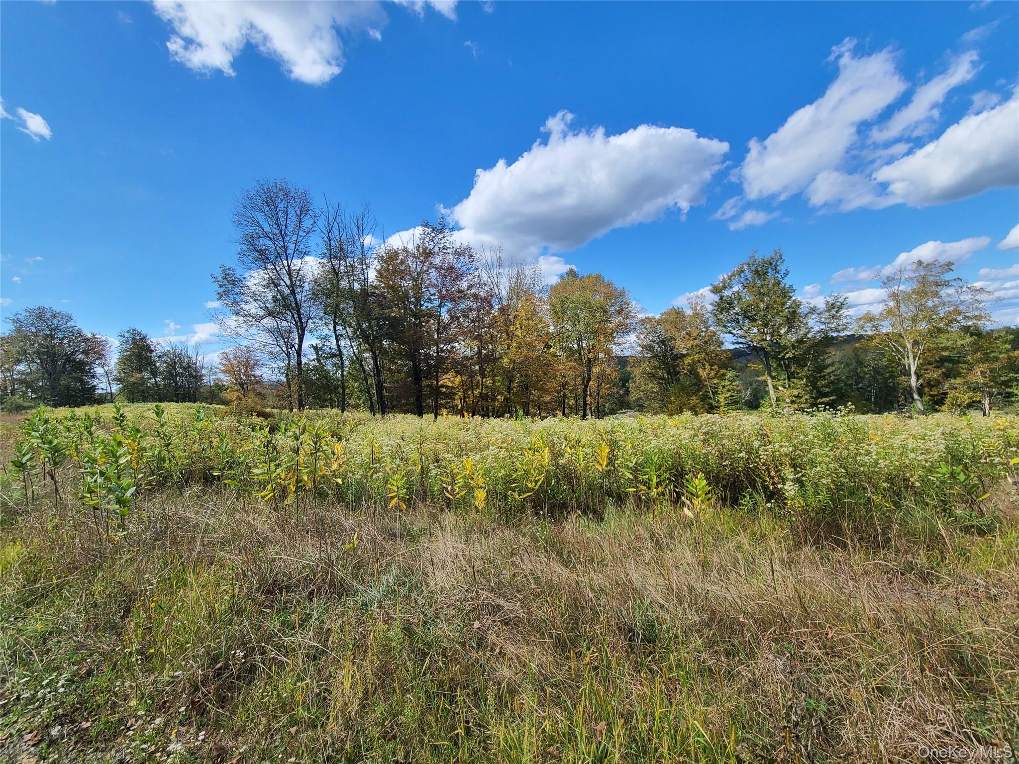 118 Hilltop Road, Monticello, NY 12701