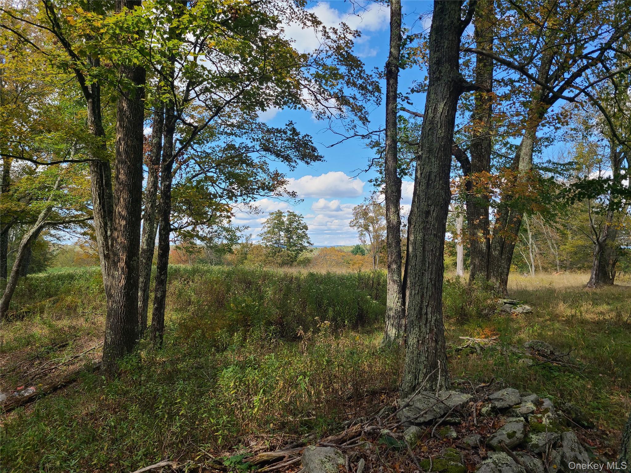 118 Hilltop Road, Monticello, NY 12701