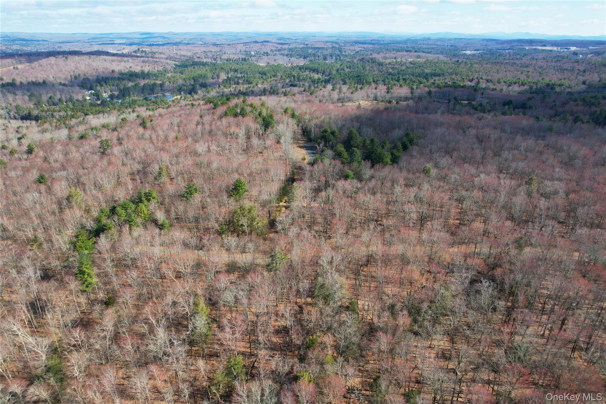 118 Hilltop Road, Monticello, NY 12701