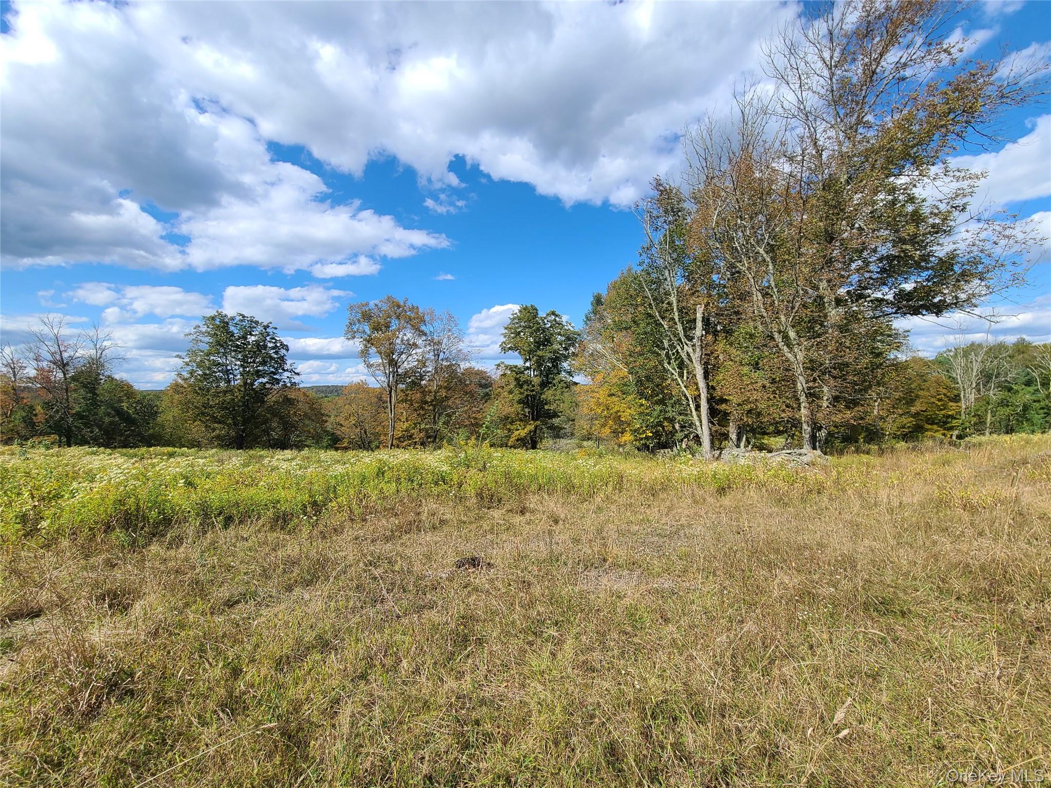 118 Hilltop Road, Monticello, NY 12701