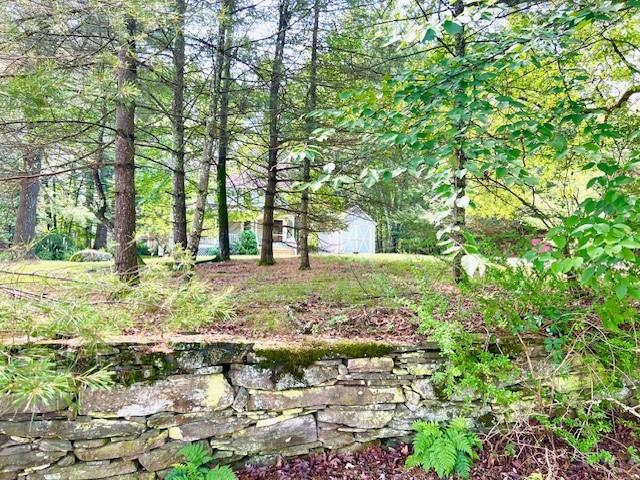 3 Rennenberg Road, Eldred, NY 12743
