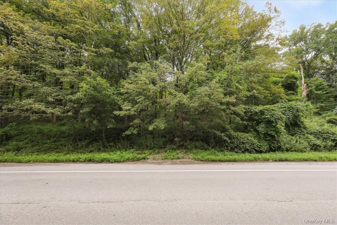 U. S. Route 9 (Albany Post), Garrison, NY 10516