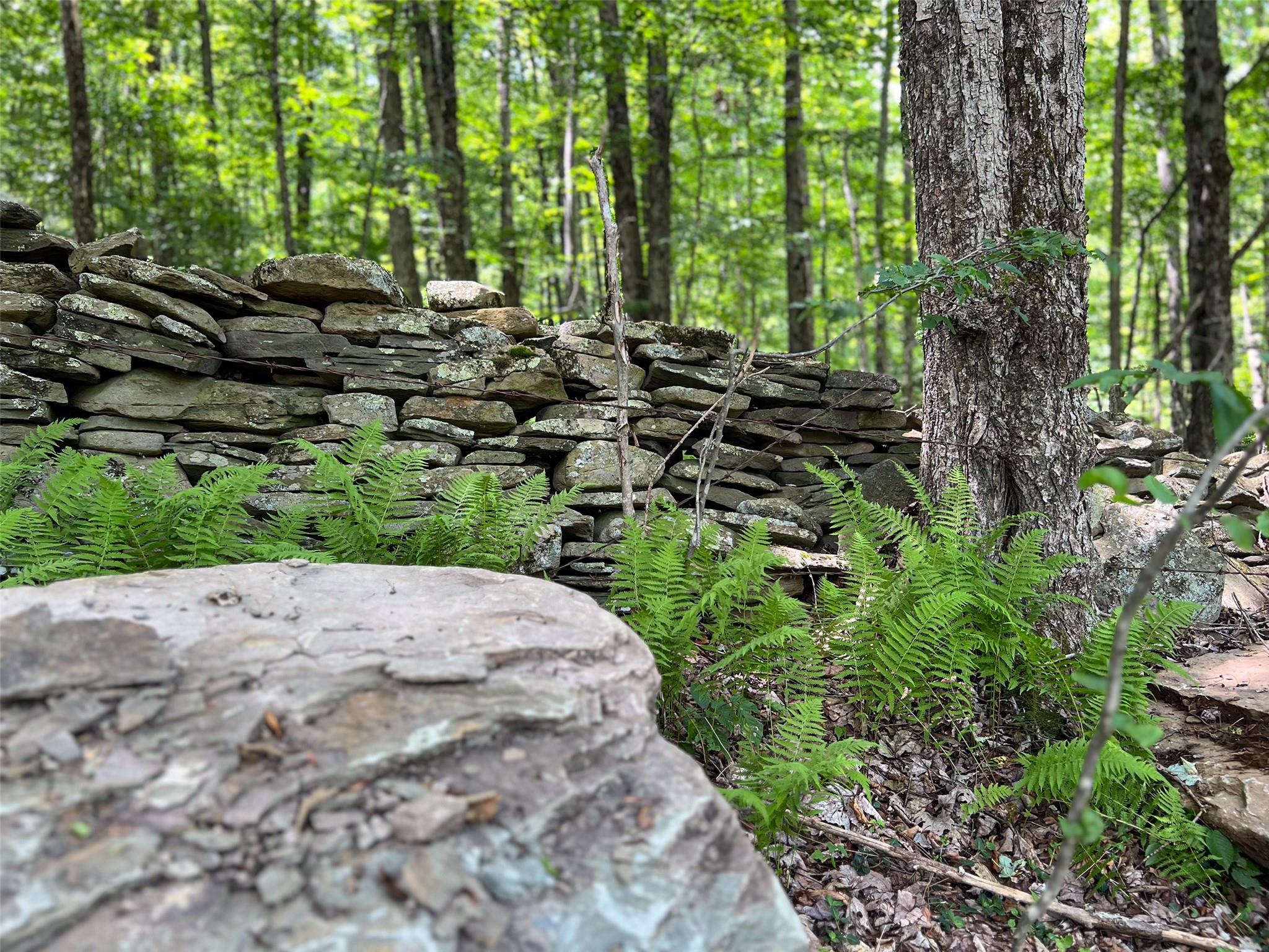 Woodland Hills Road, Andes, NY 13731