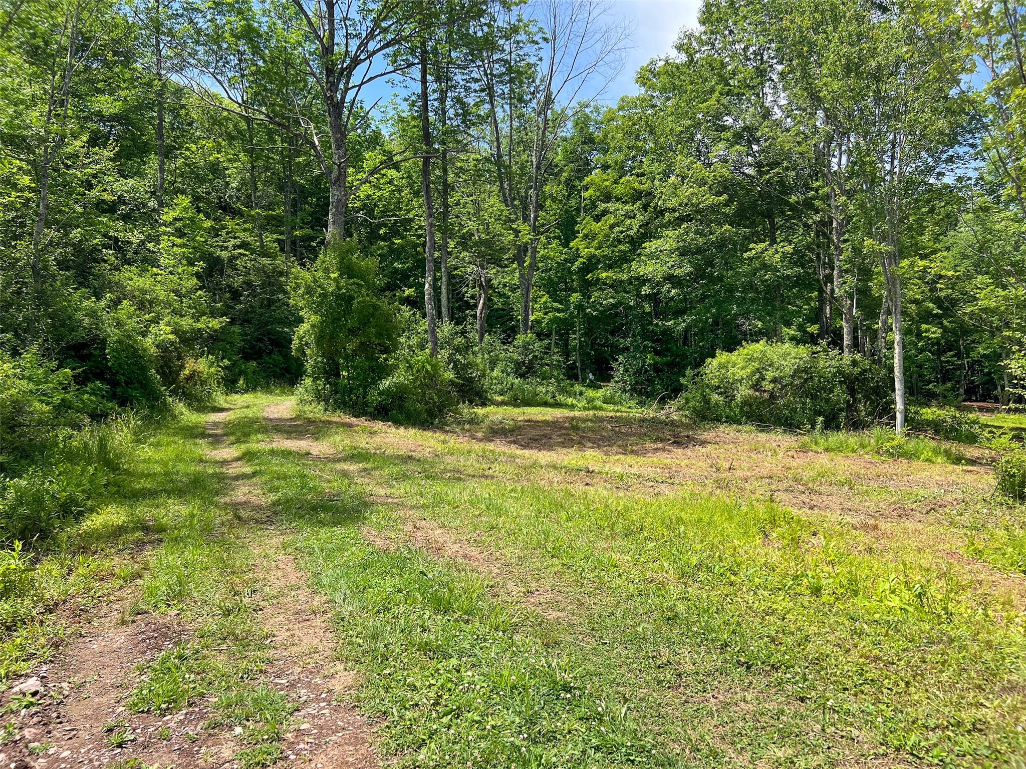 Woodland Hills Road, Andes, NY 13731