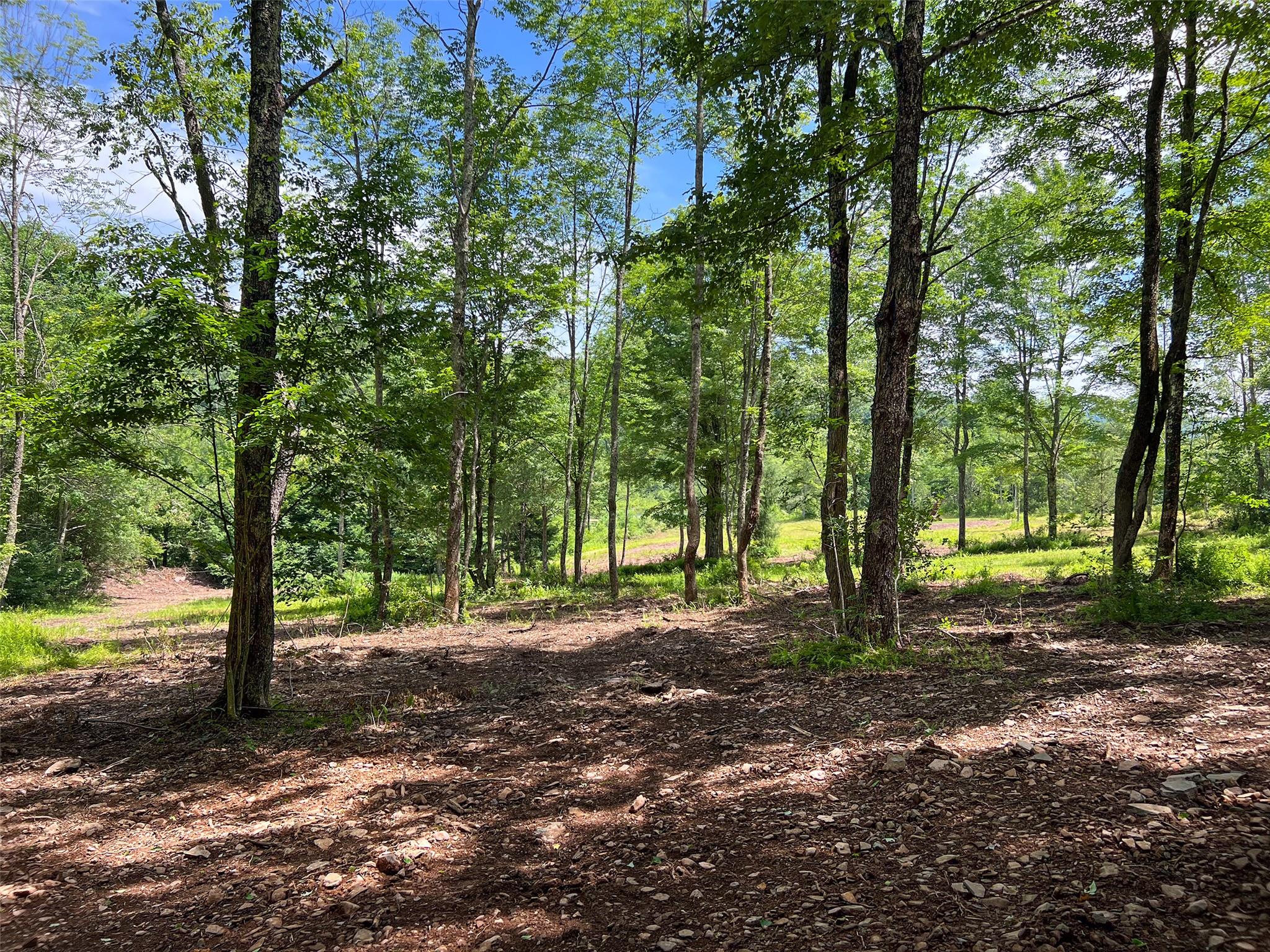 Woodland Hills Road, Andes, NY 13731