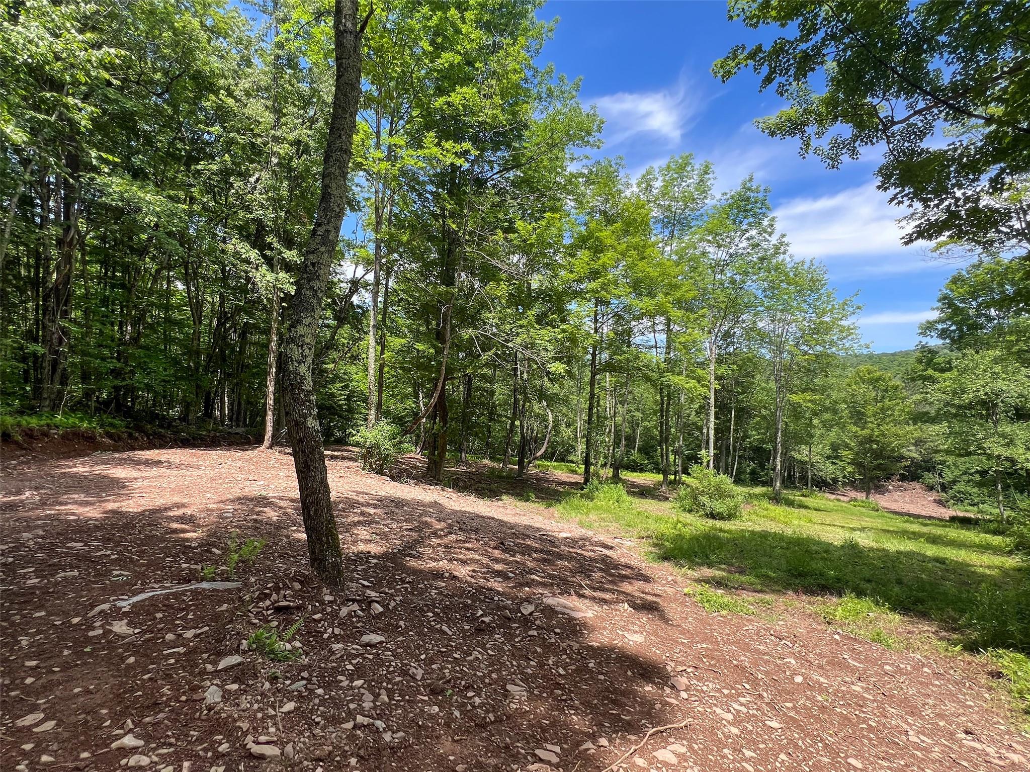 Woodland Hills Road, Andes, NY 13731