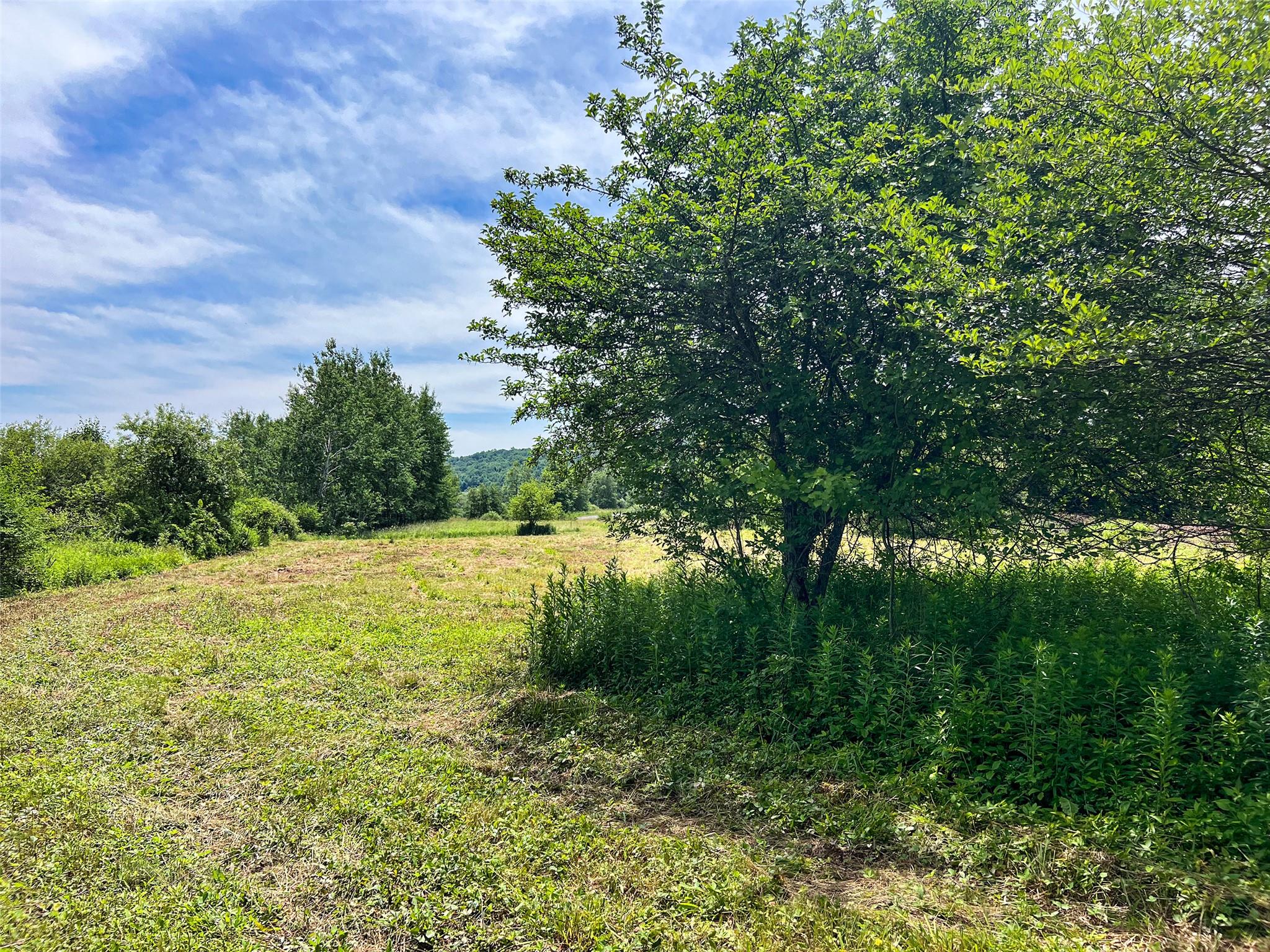 Woodland Hills Road, Andes, NY 13731