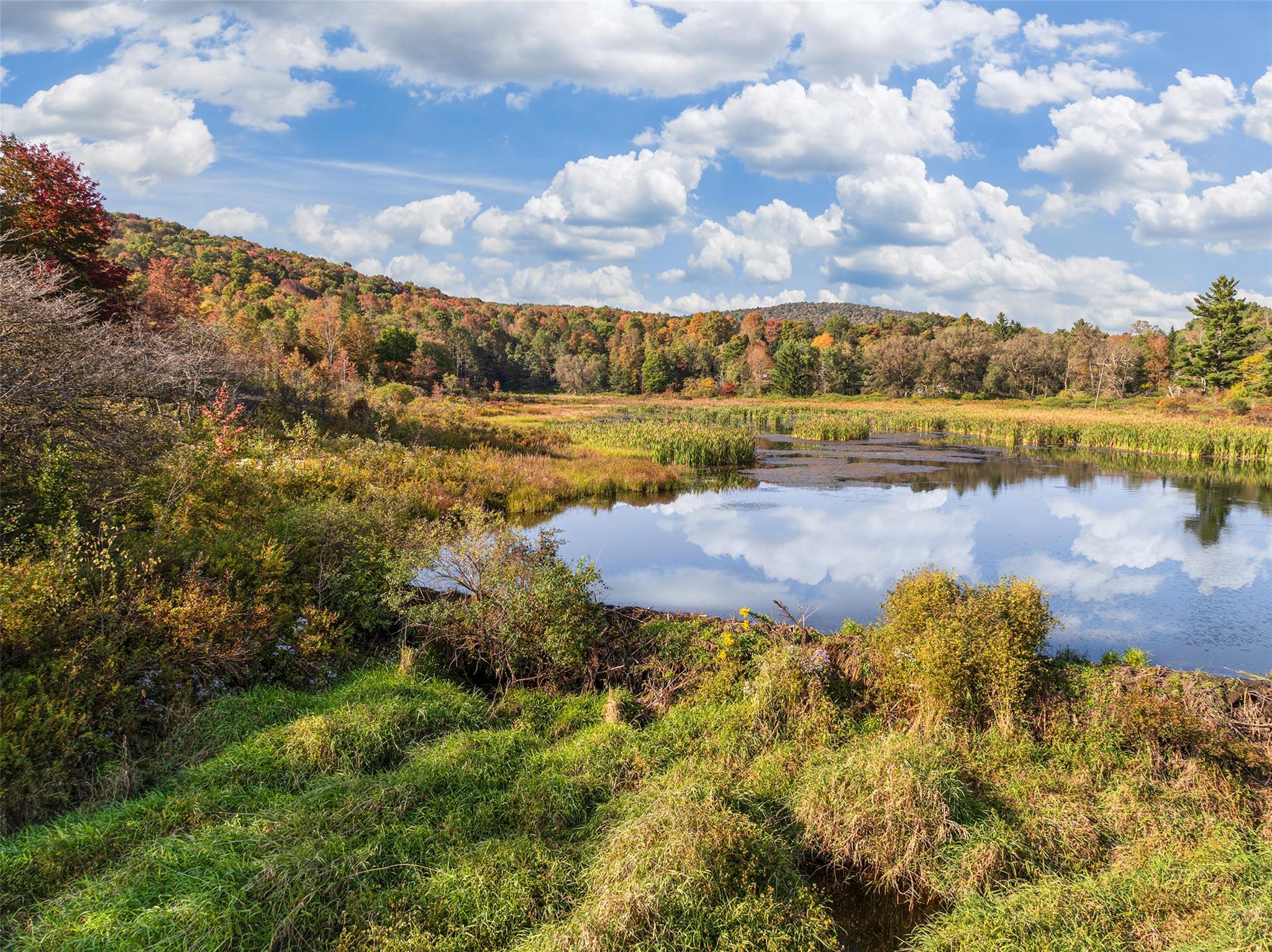 Woodland Hills Road, Andes, NY 13731