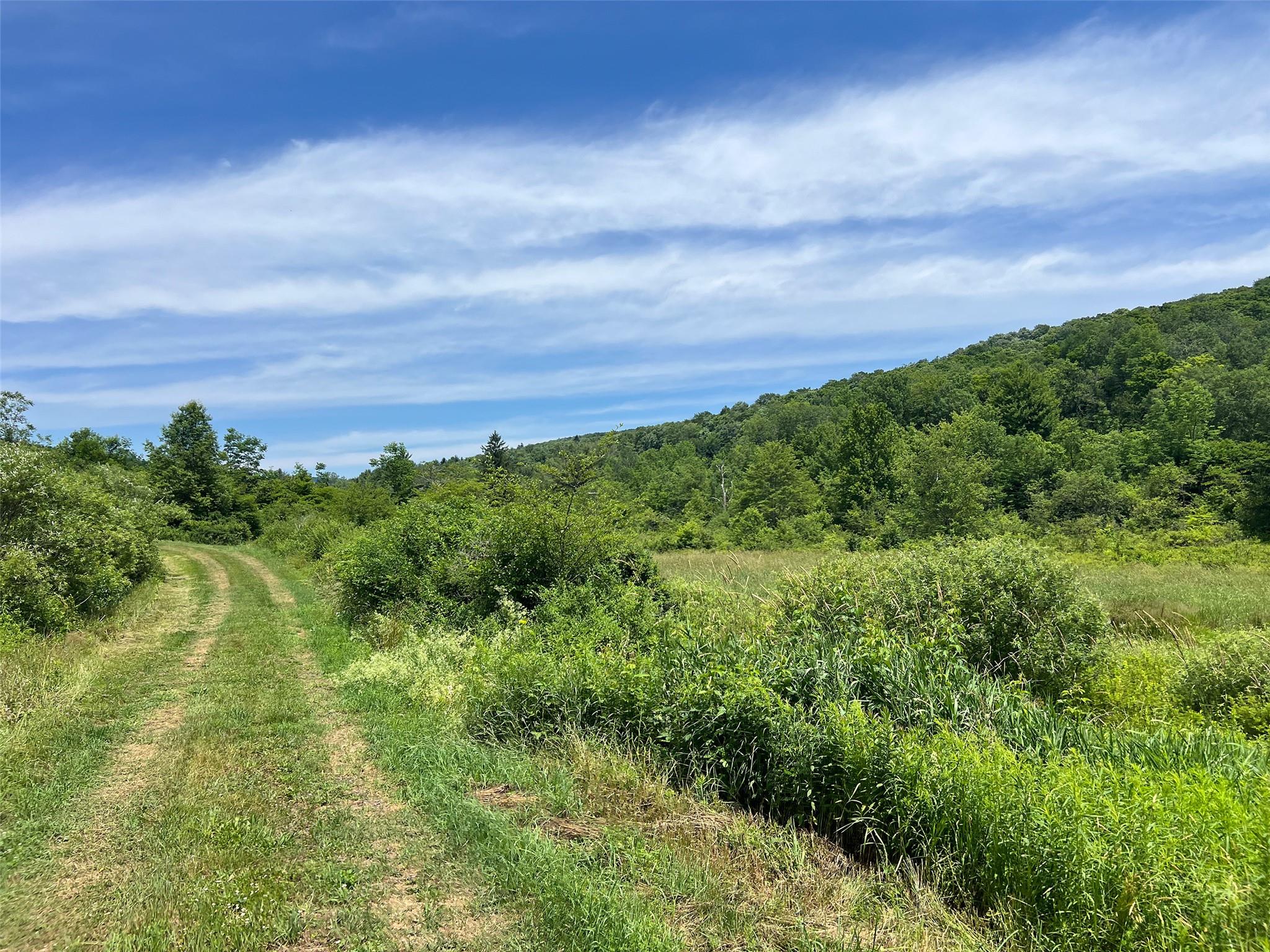 Woodland Hills Road, Andes, NY 13731