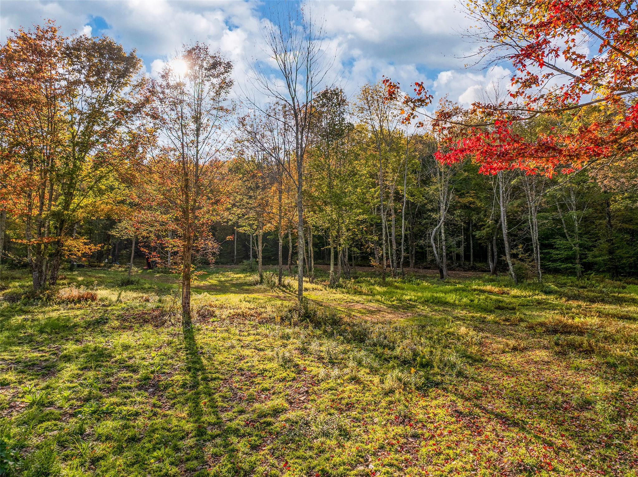 Woodland Hills Road, Andes, NY 13731