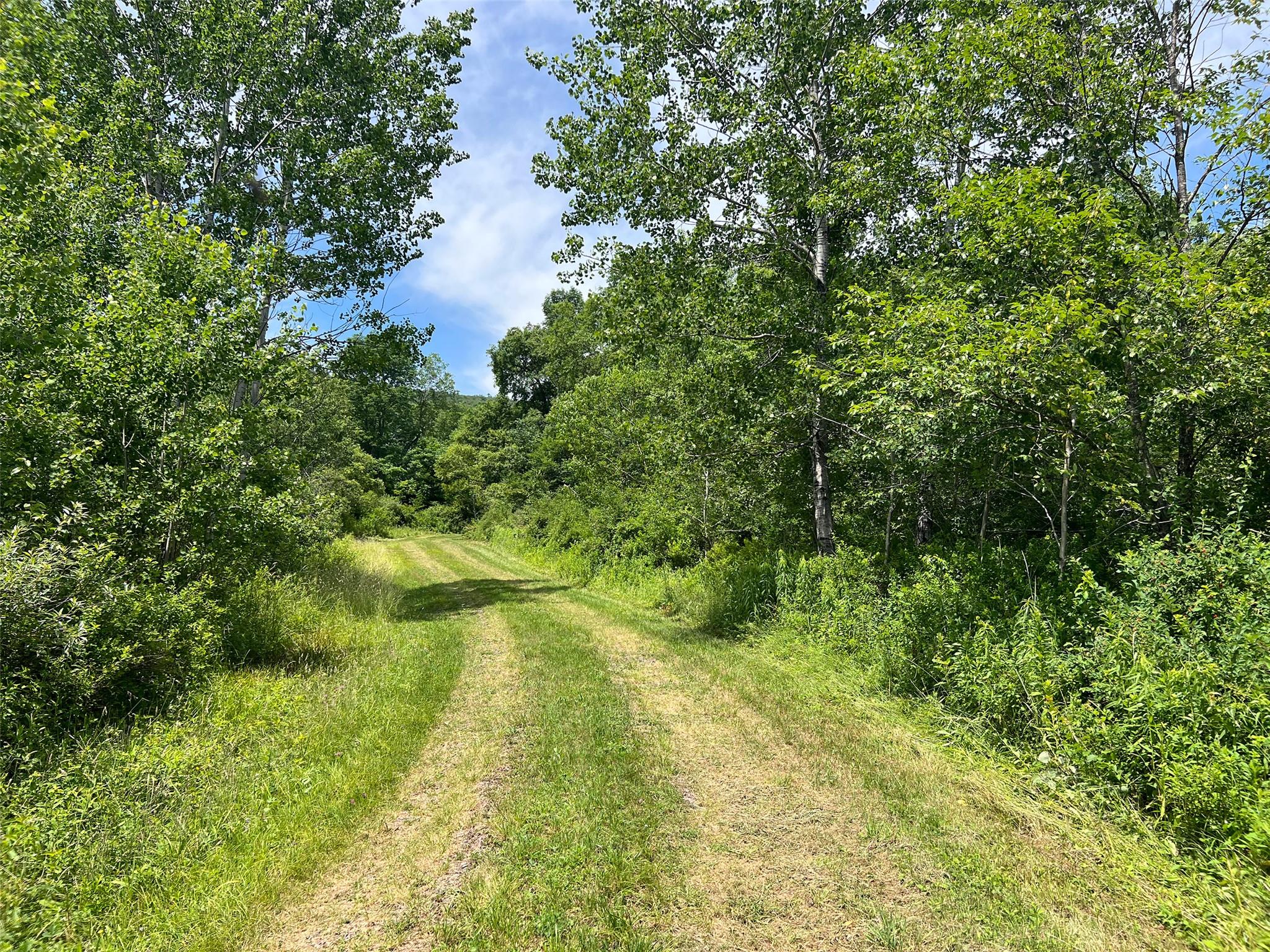 Woodland Hills Road, Andes, NY 13731