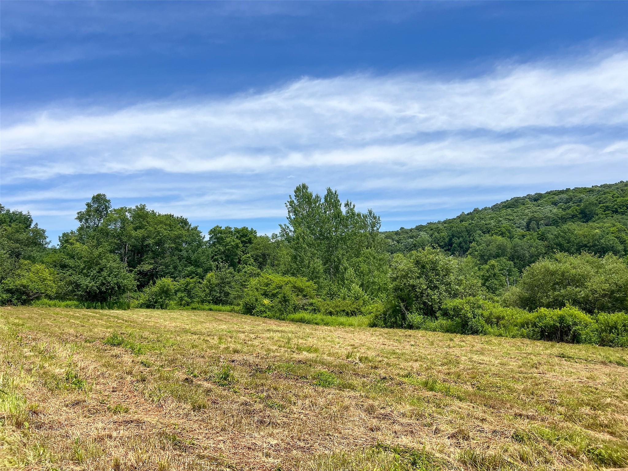 Woodland Hills Road, Andes, NY 13731