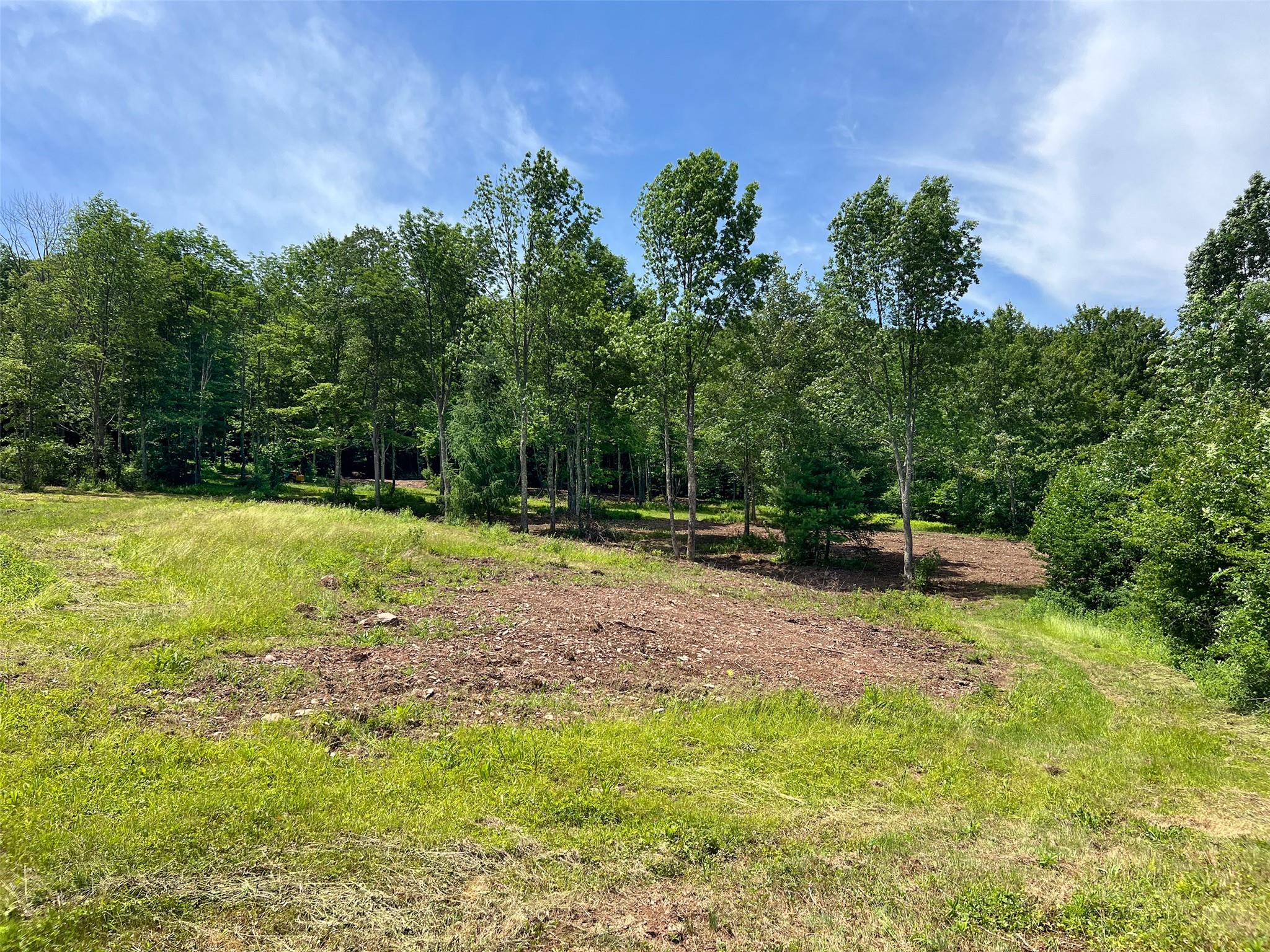 Woodland Hills Road, Andes, NY 13731