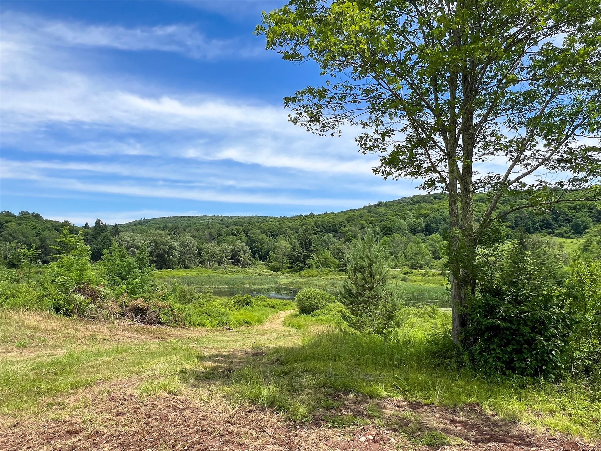 Woodland Hills Road, Andes, NY 13731