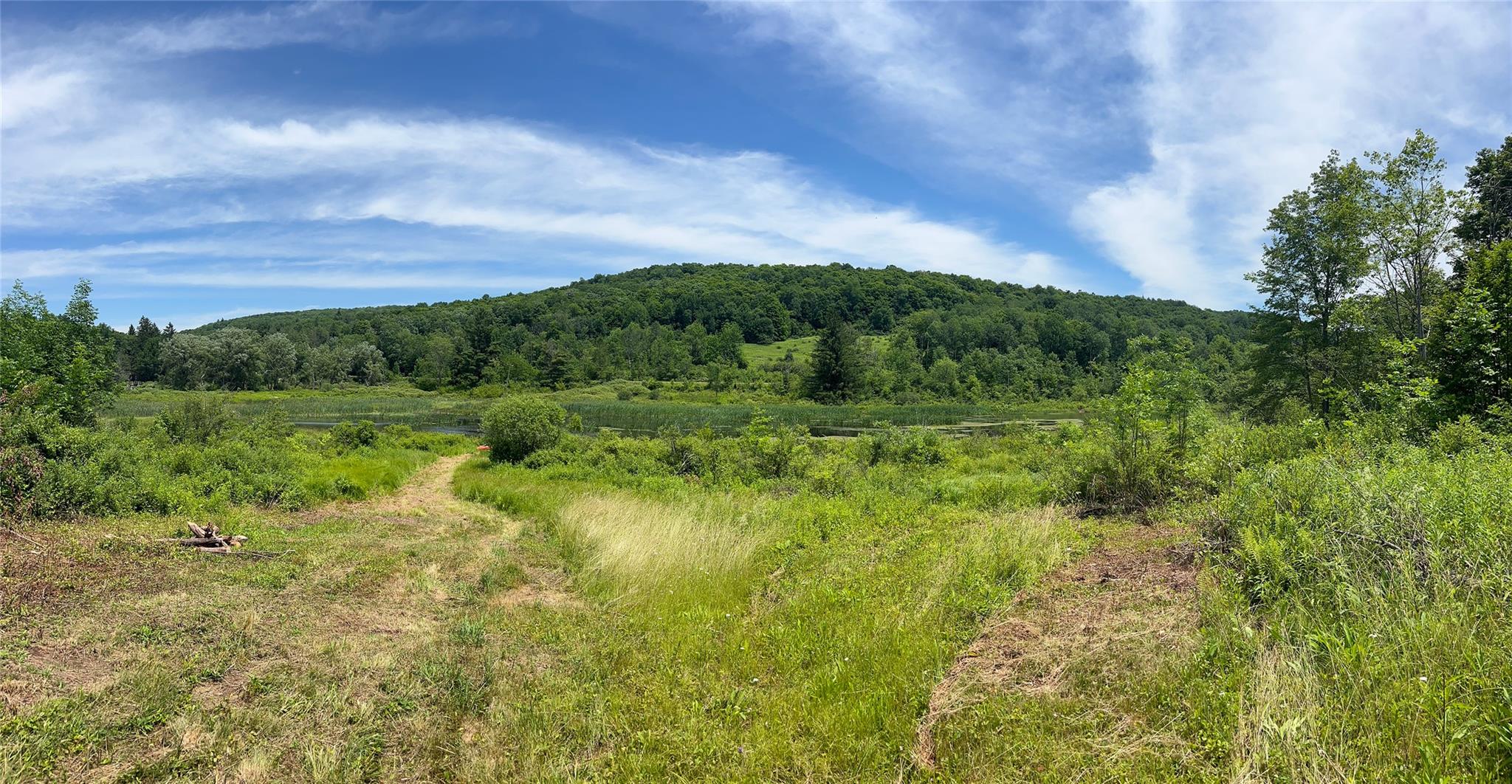 Woodland Hills Road, Andes, NY 13731