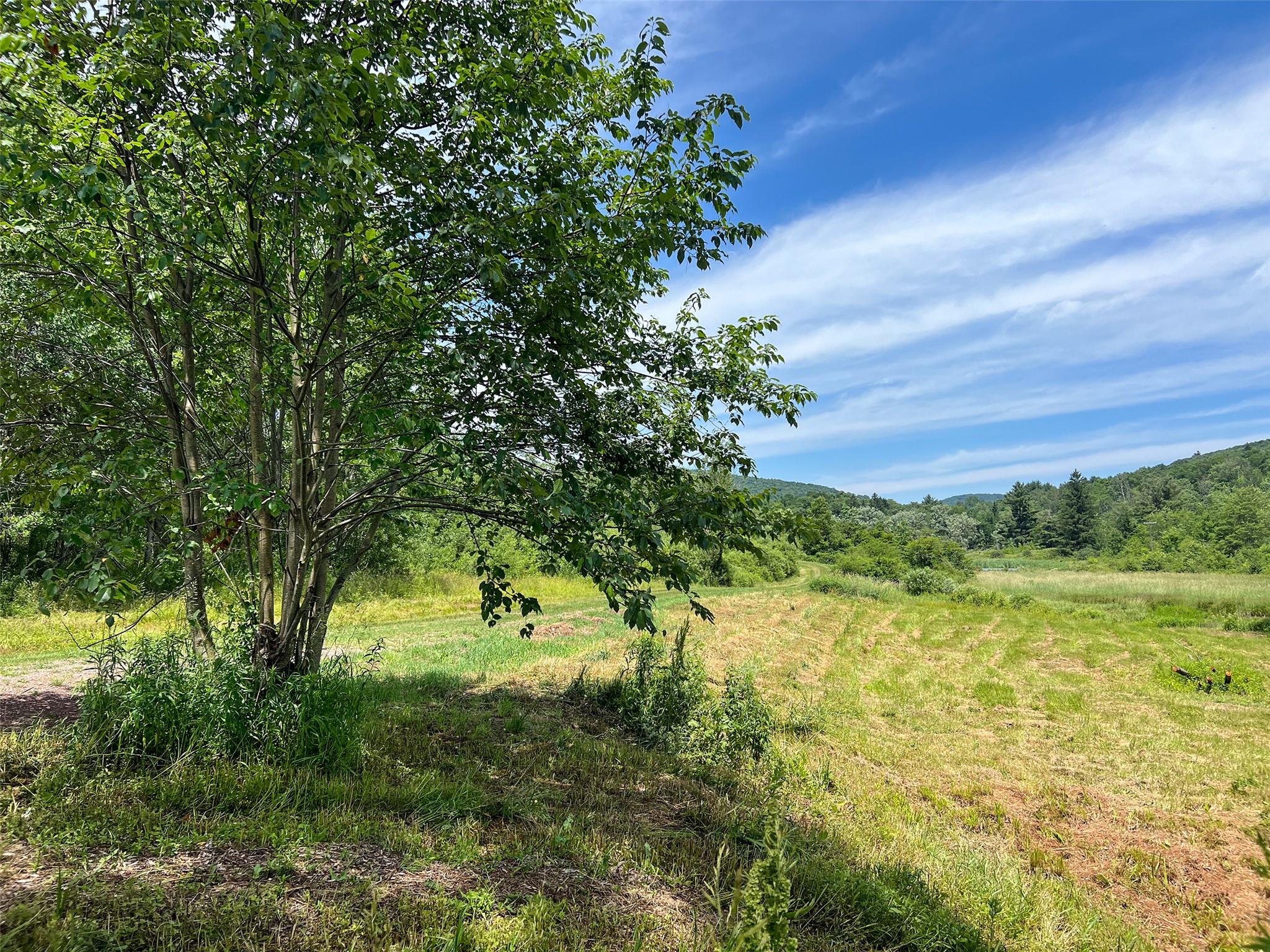 Woodland Hills Road, Andes, NY 13731